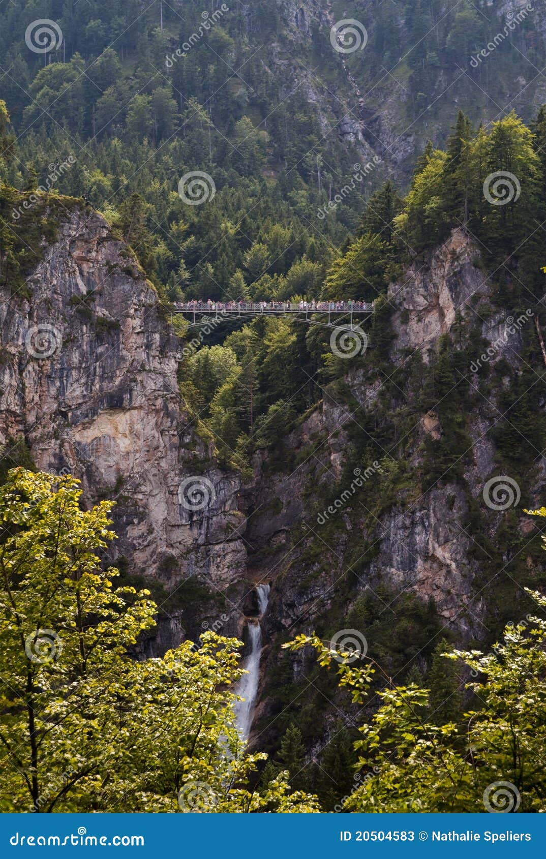 Neuschwanstein Castle Bridge Stock Image Image of nature, germany