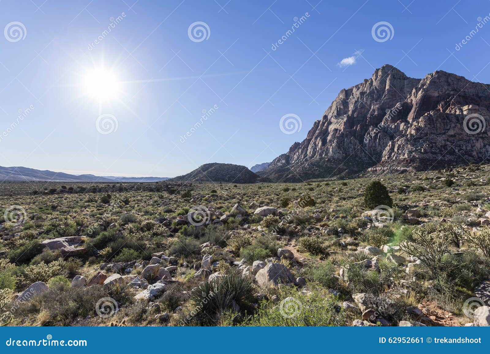 Nevada Sun stock image. of park, morning - 62952661