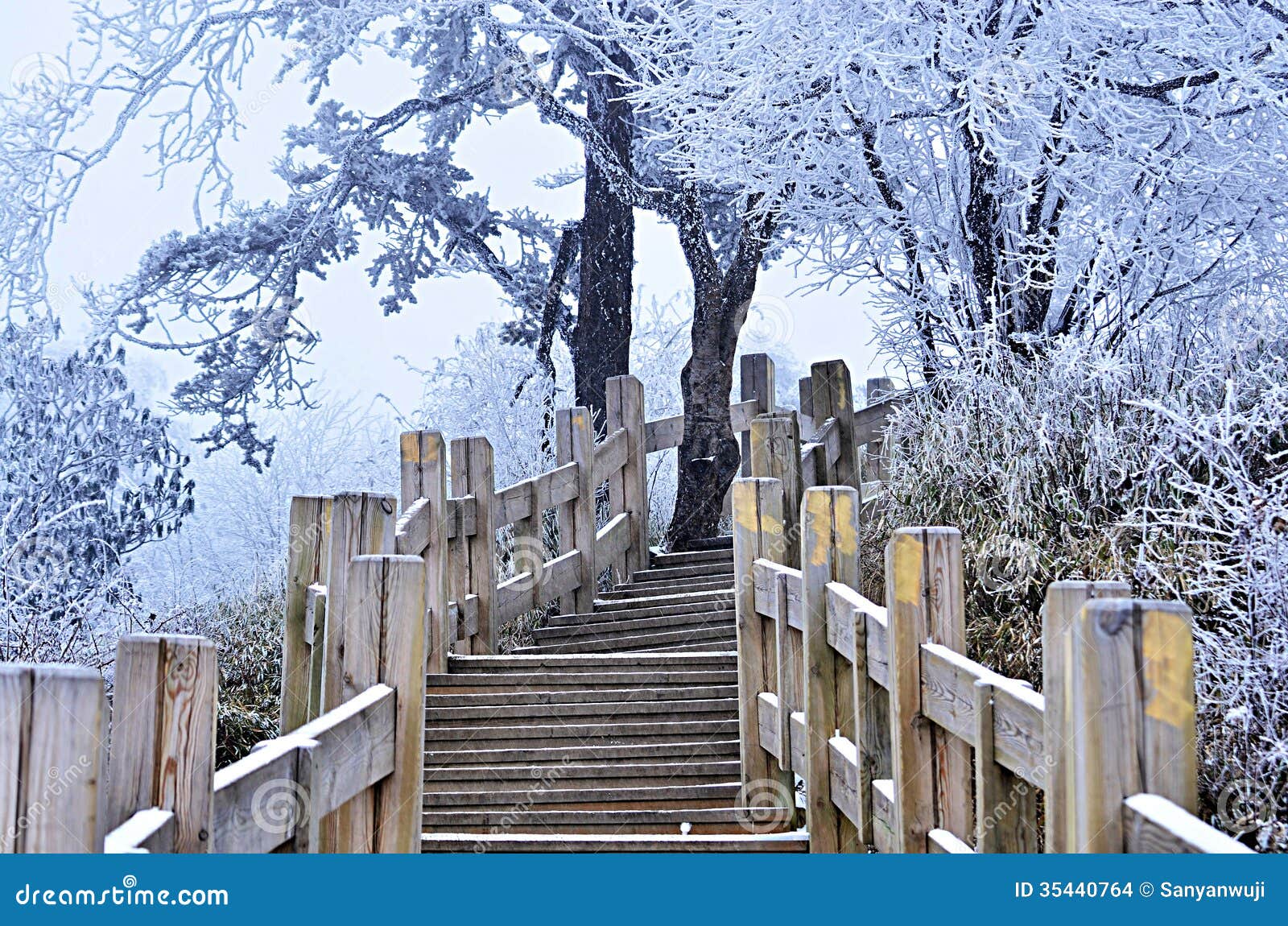 A beleza da neve no inverno