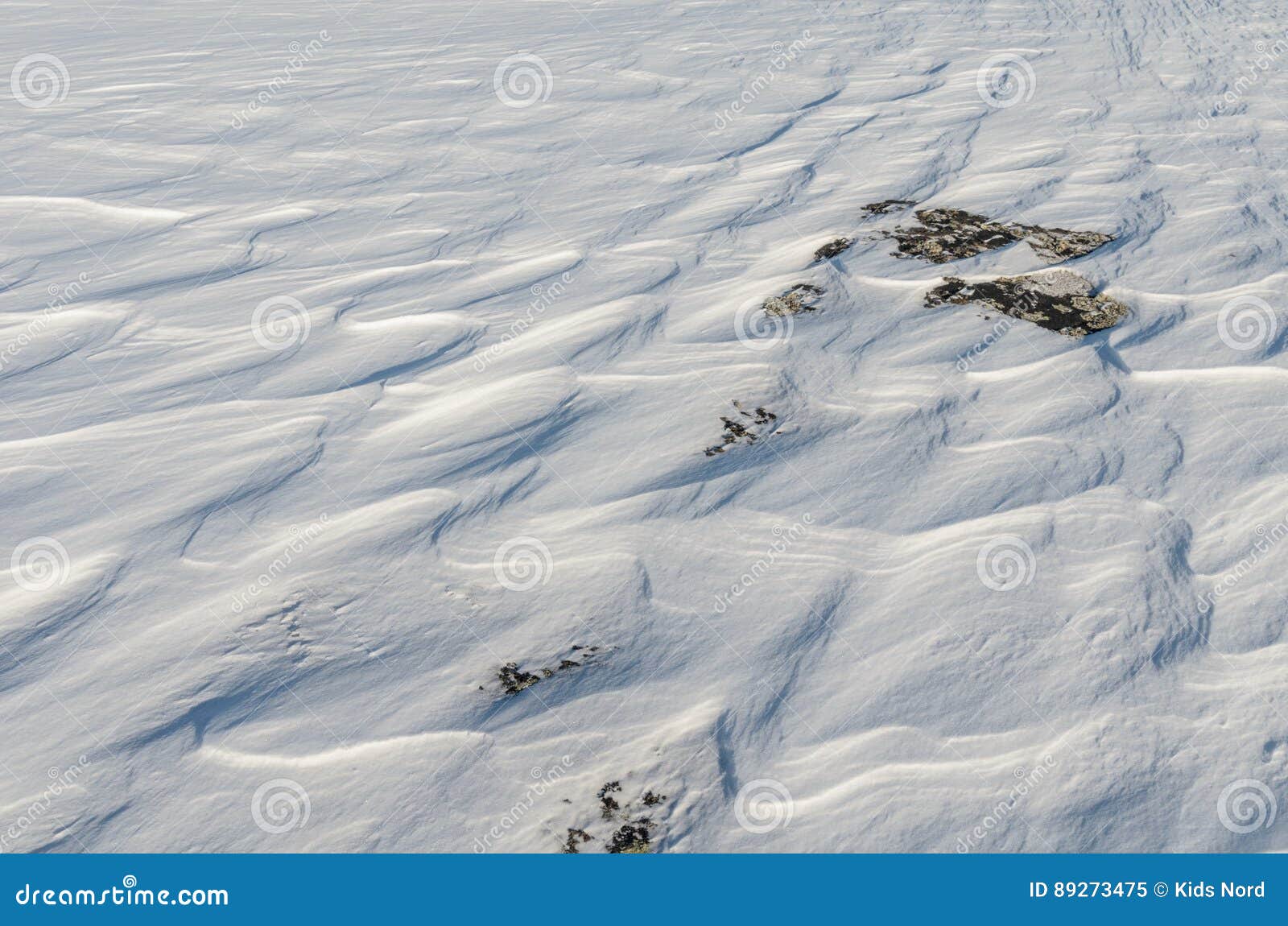 Ventos de Inverno