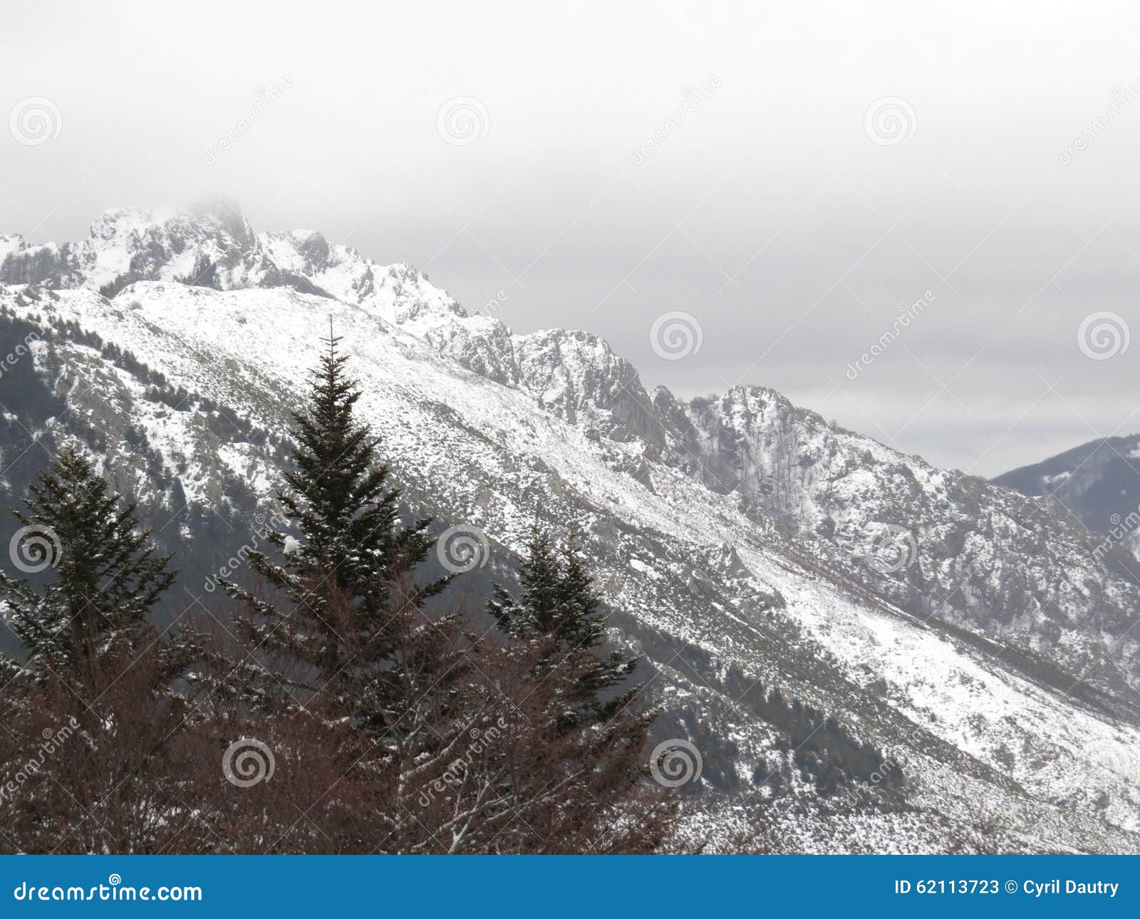 Neve na floresta, Croix de Bauzon, ArdÃ¨che, França. Neve na floresta ao lado da estação do esqui da cruz de Bauzon, Ardeche, França