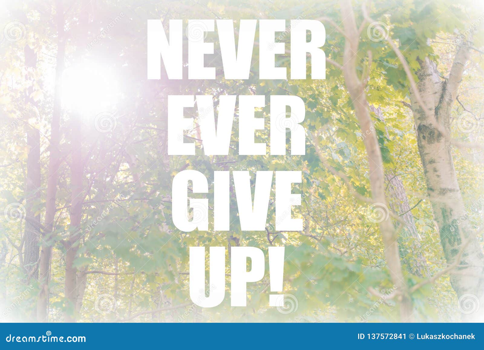 Never Ever Give Up Motivational Quote on Sunny Forest Background. Green