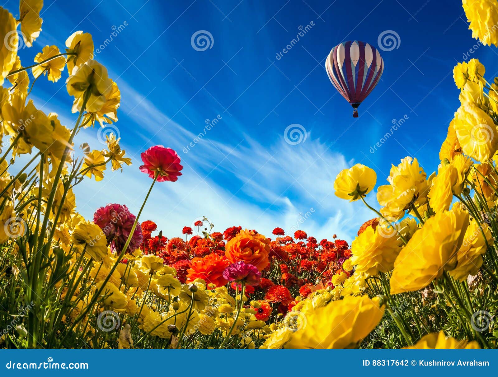 Neverland Flowers and Balloon. Collage Stock Photo - Image of scene ...