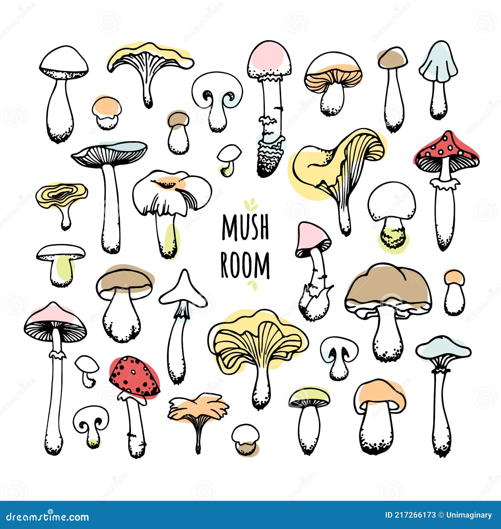 Vector Color Set of Drawn Mushrooms Isolated on White Background Stock
