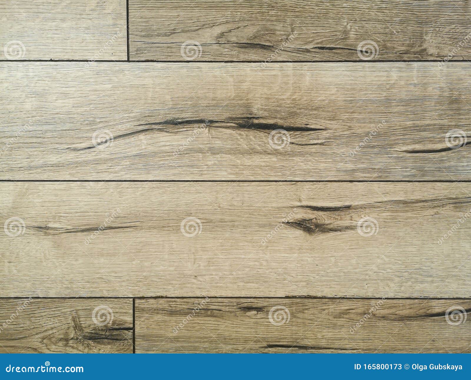 new beautiful laminate floor, decorated with oak wood. background