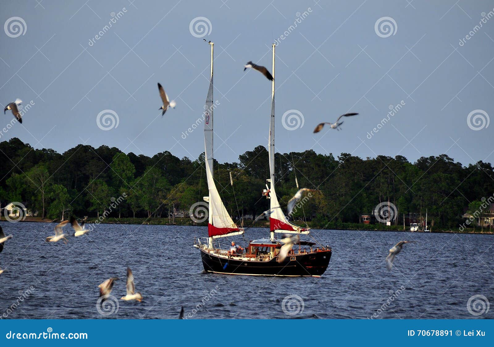 sailboats new bern nc