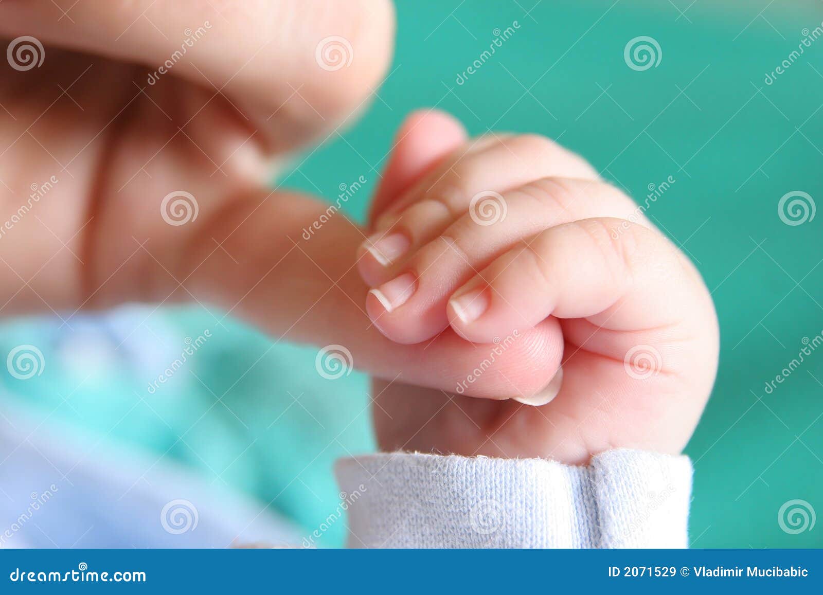 New born Baby s hand stock image. Image of delicate, hand 2071529