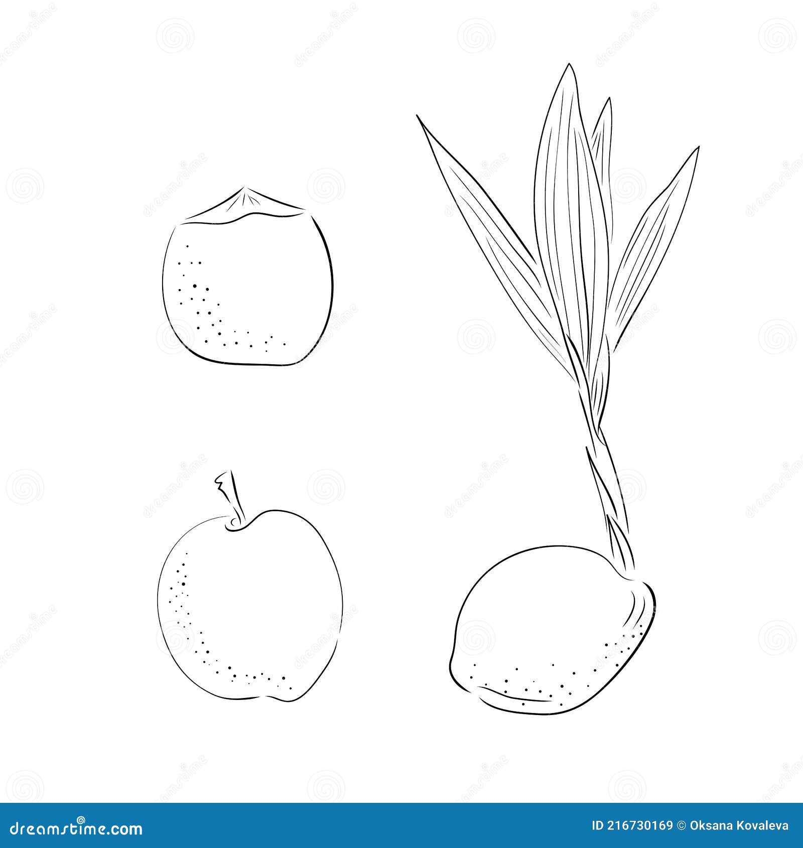 Coconut Sprout Stock Illustrations – 119 Coconut Sprout Stock  Illustrations, Vectors & Clipart - Dreamstime