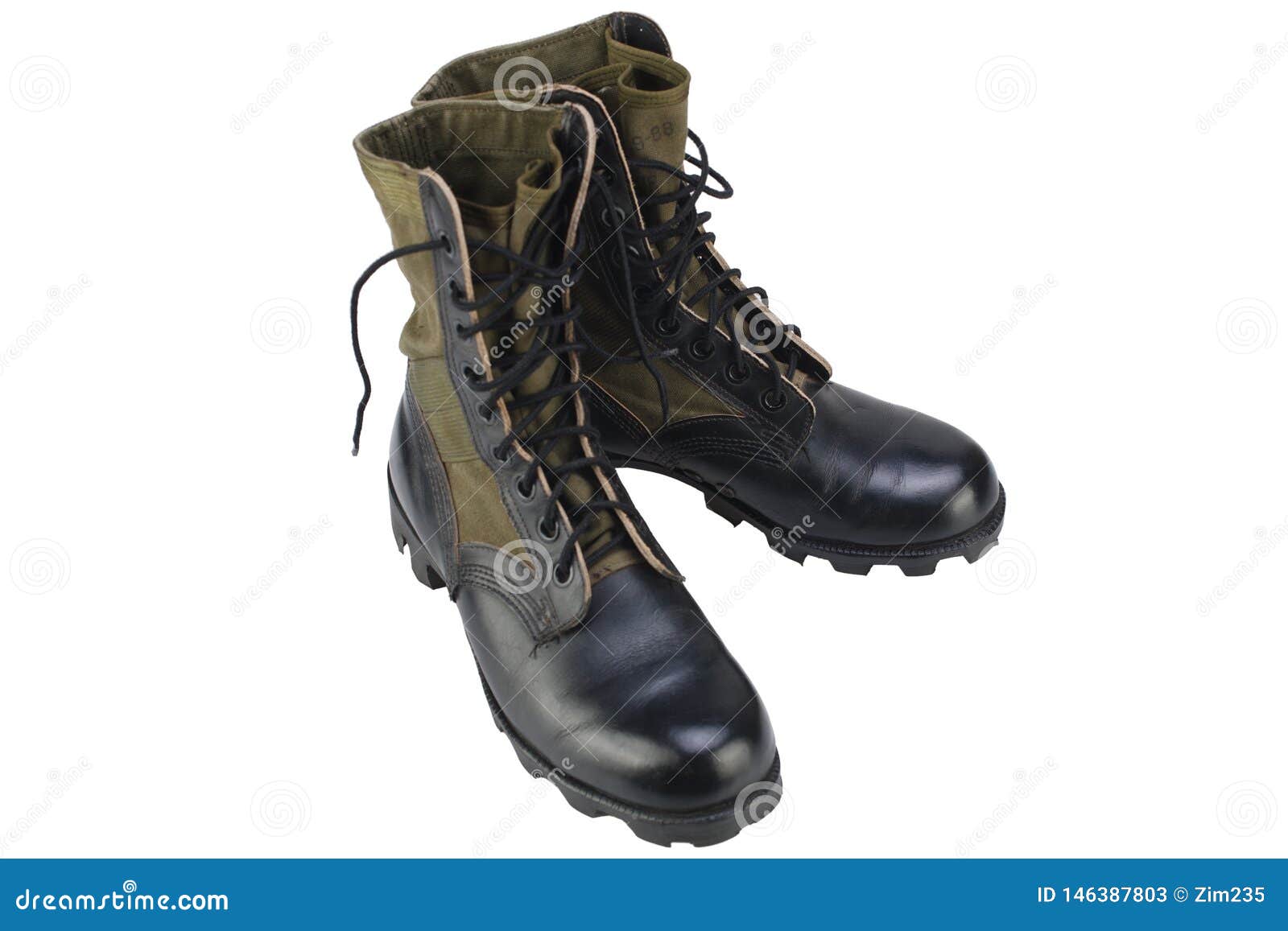 New Brand US Army Pattern Jungle Boots Isolated Stock Image - Image of ...