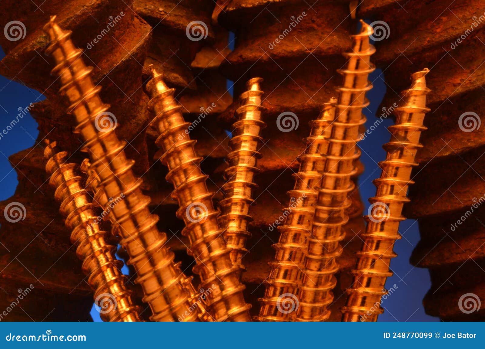 New Brass Screws Contrasting with Old Rusty Screws Stock Image Image