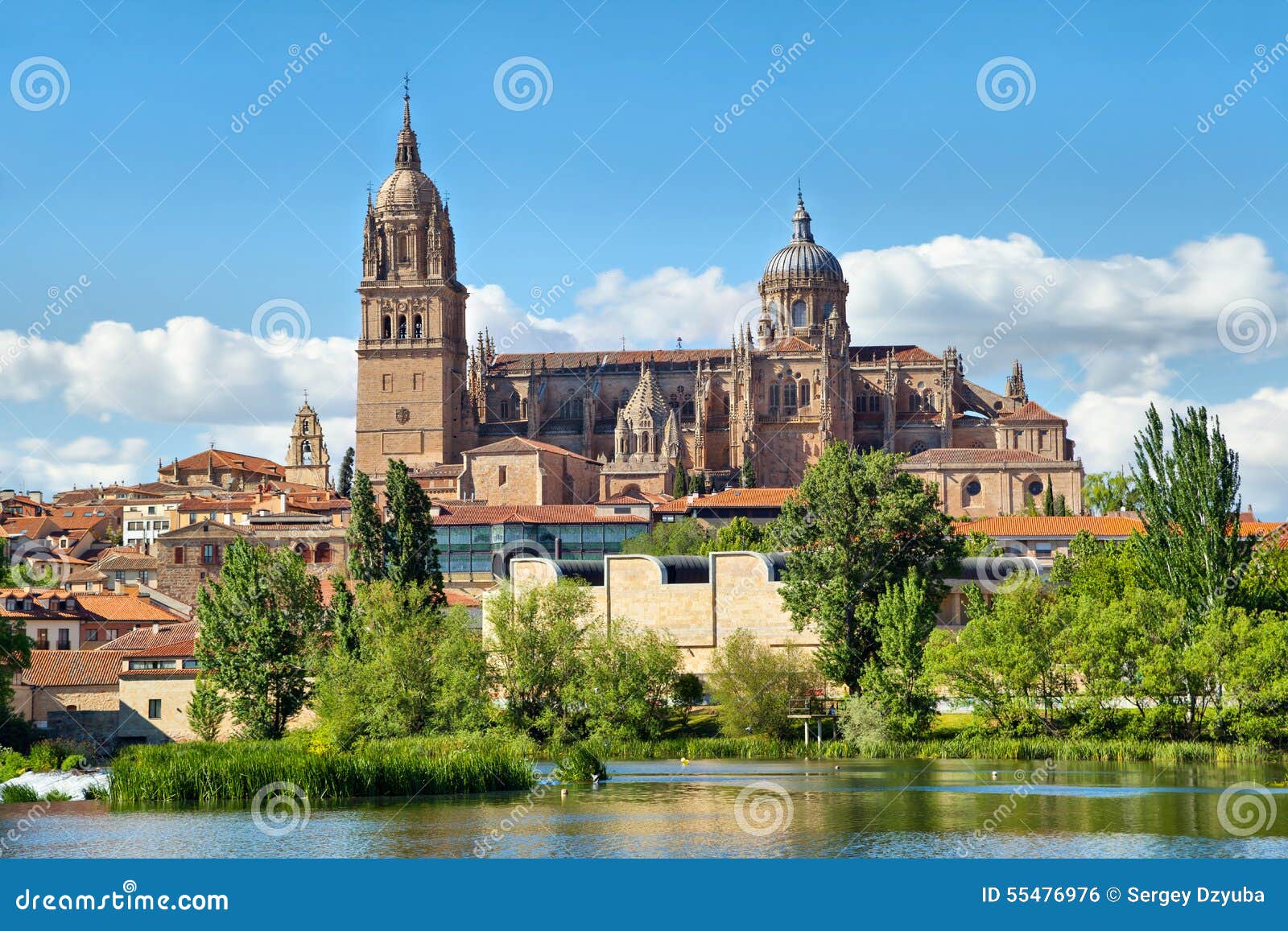 new cathedral in salamanca - view from river side