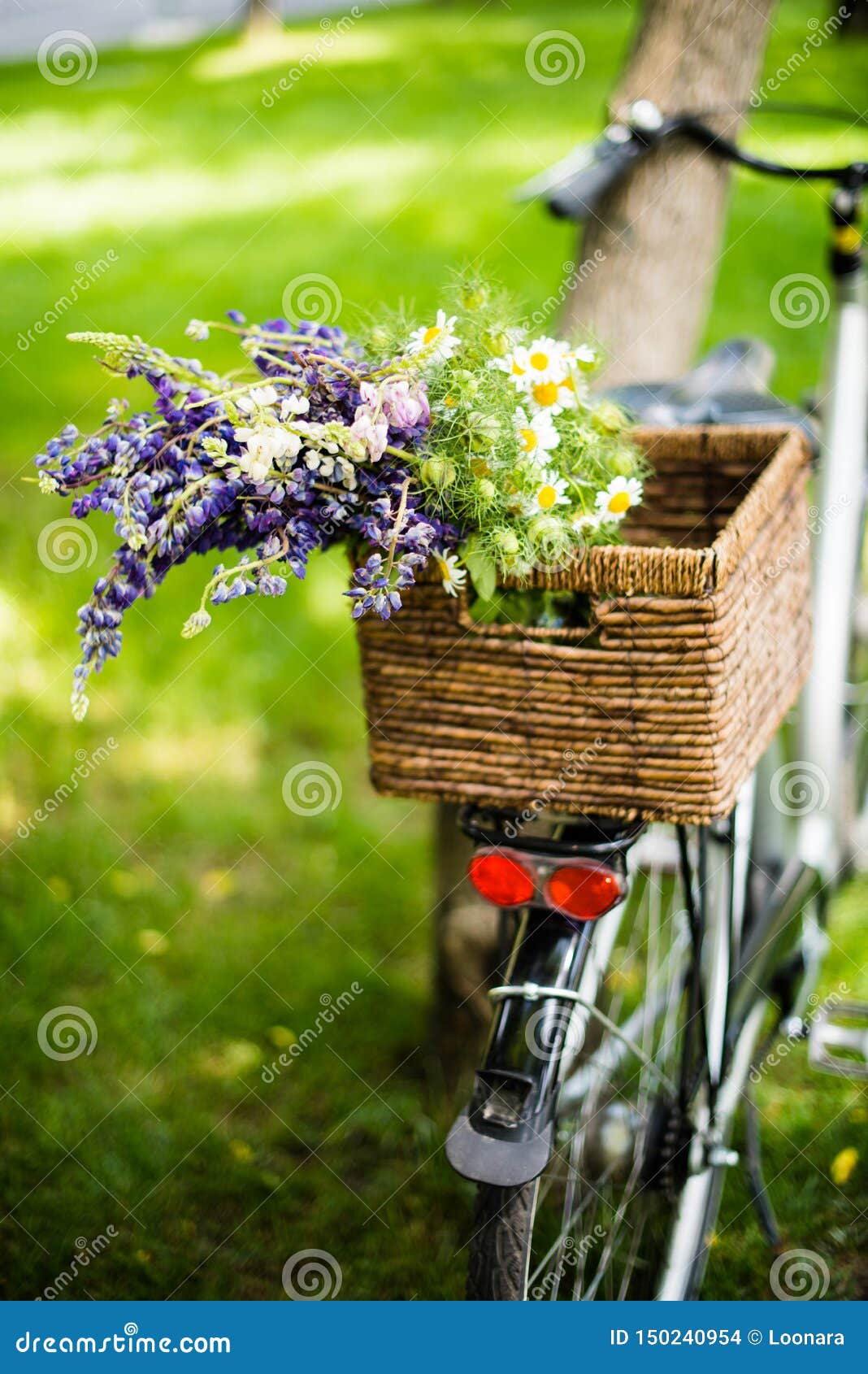 New City Bicycle With Bouquet Of Flowers In Wicker Basket ...