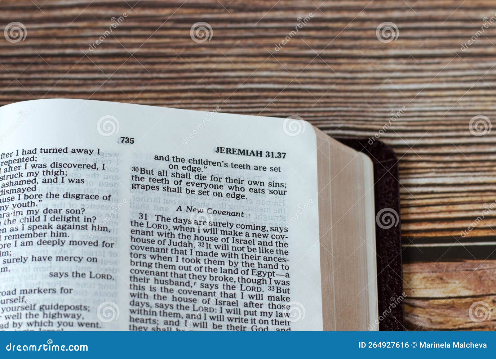 new covenant prophecy verses in open holy bible book, a closeup