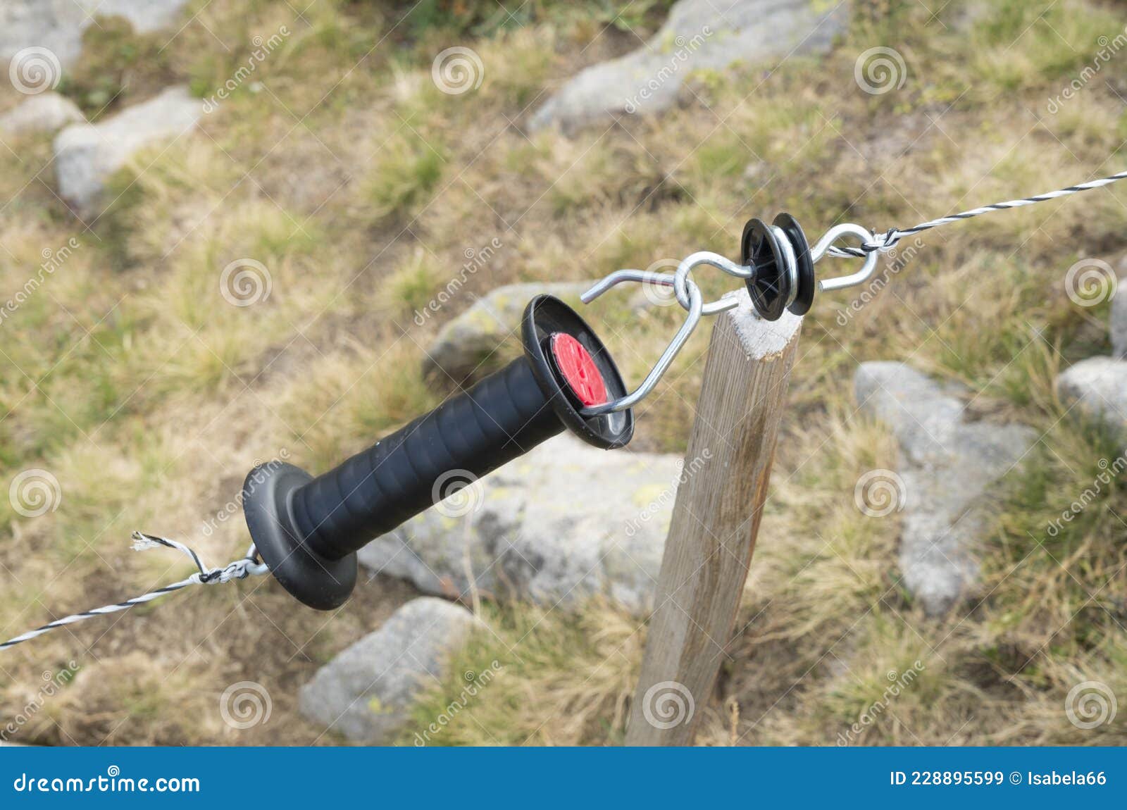 New Electric Fence Shepherd for Animals Stock Image Image of