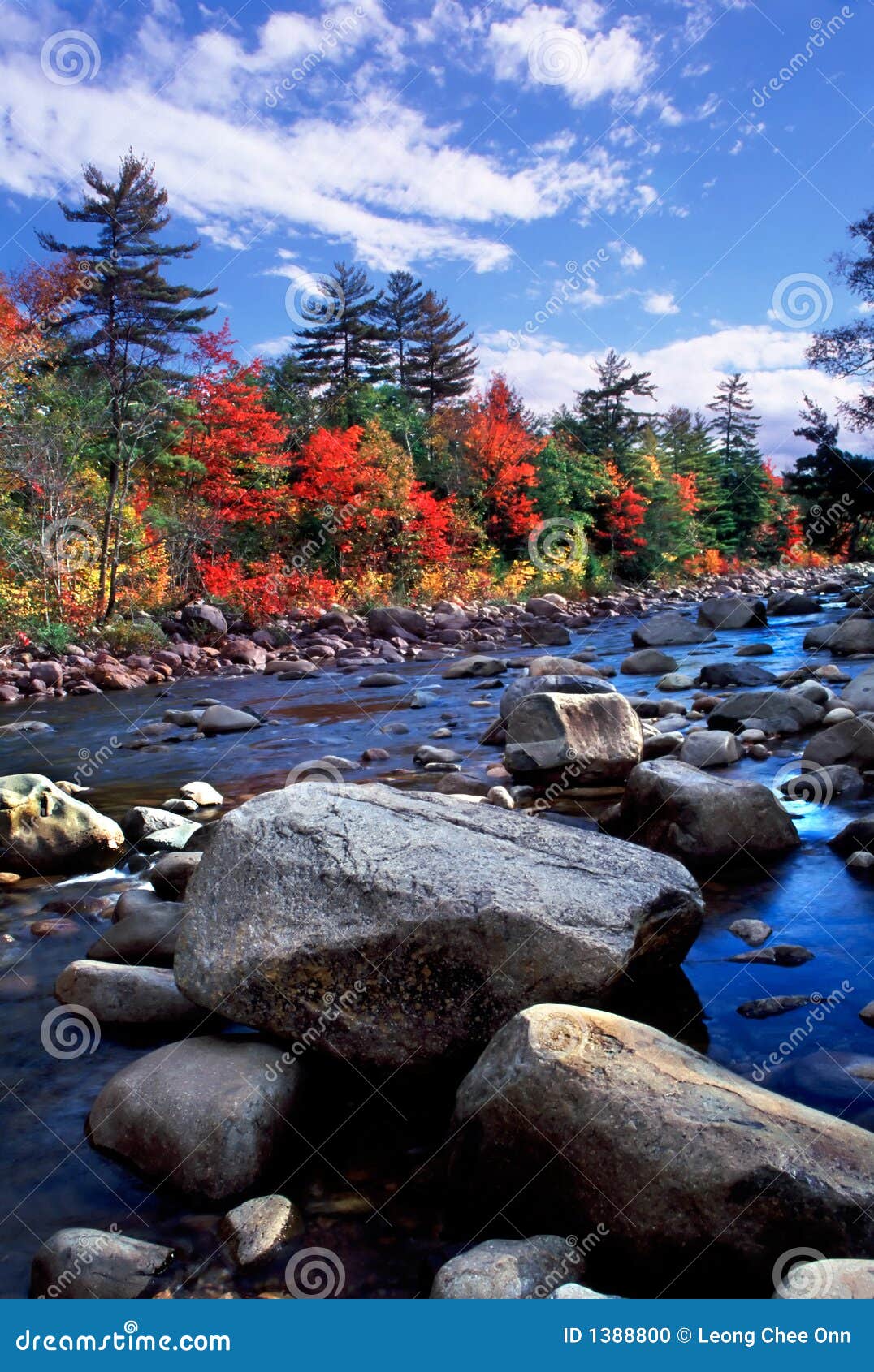 New England Fall Foliage stock photo. Image of fall New England Fall Foliage stock photo. Image of fall