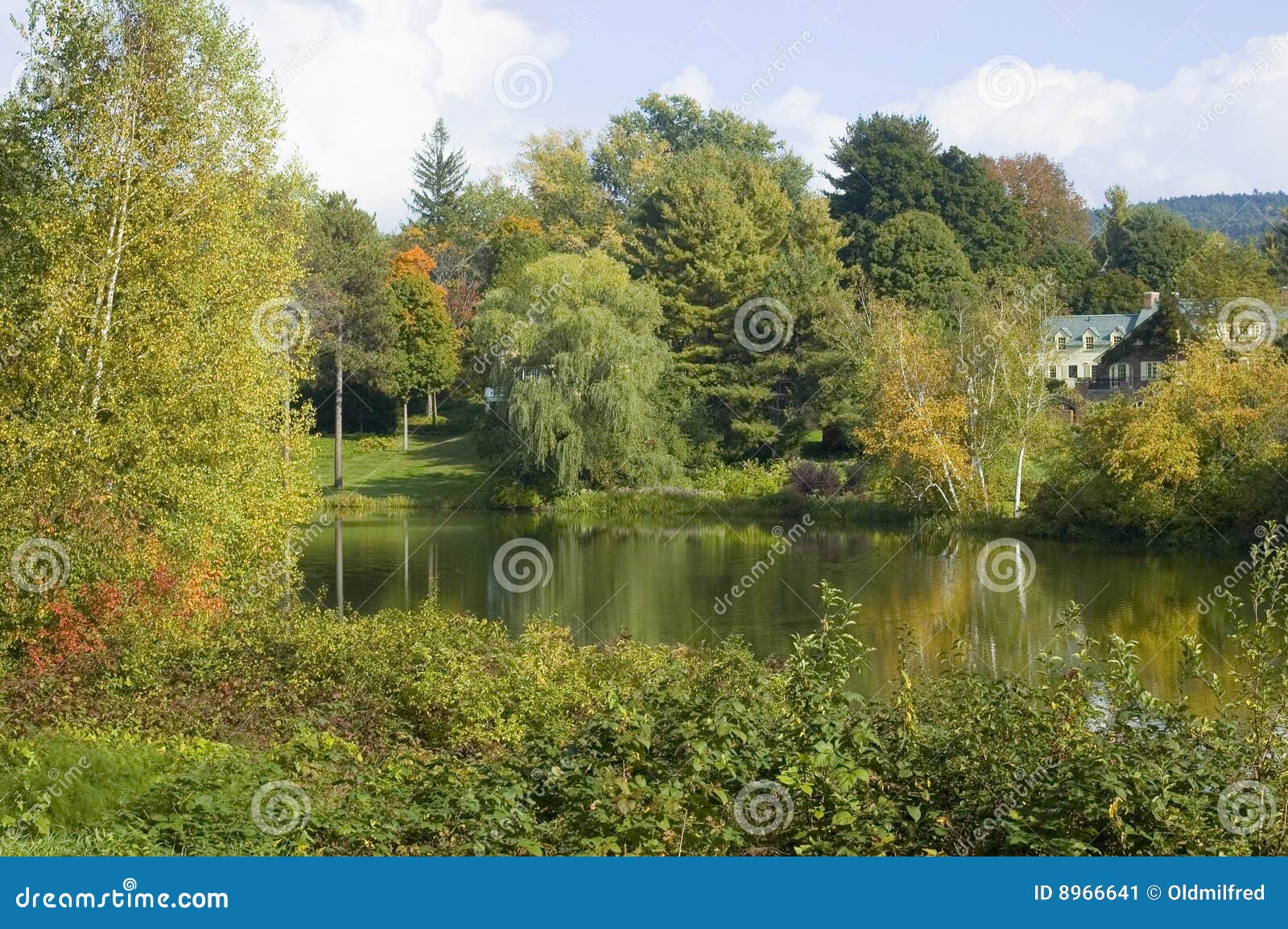 New England Pond stock image. Image of colors, landscape 8966641