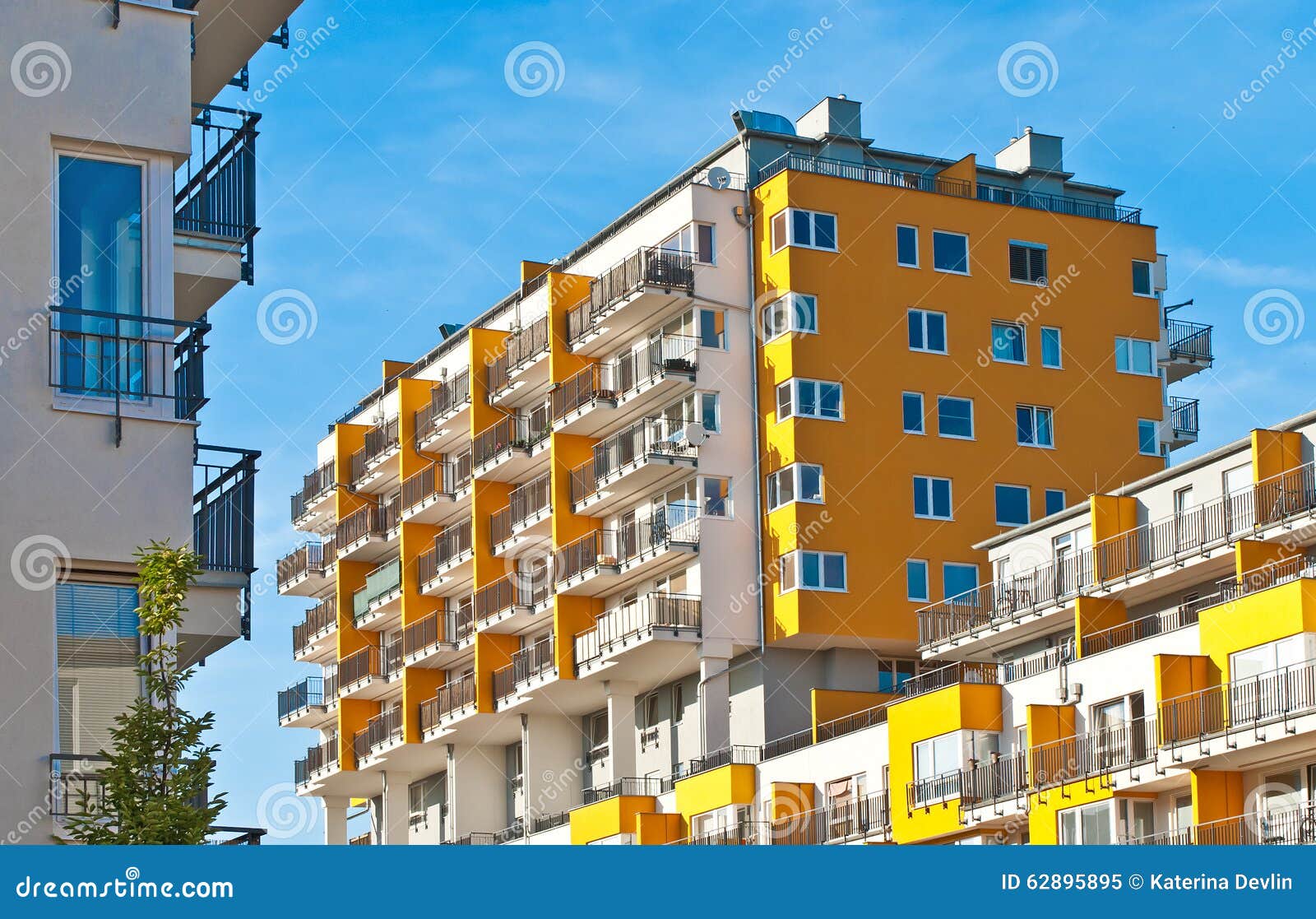 download the new Flats download the new Flats