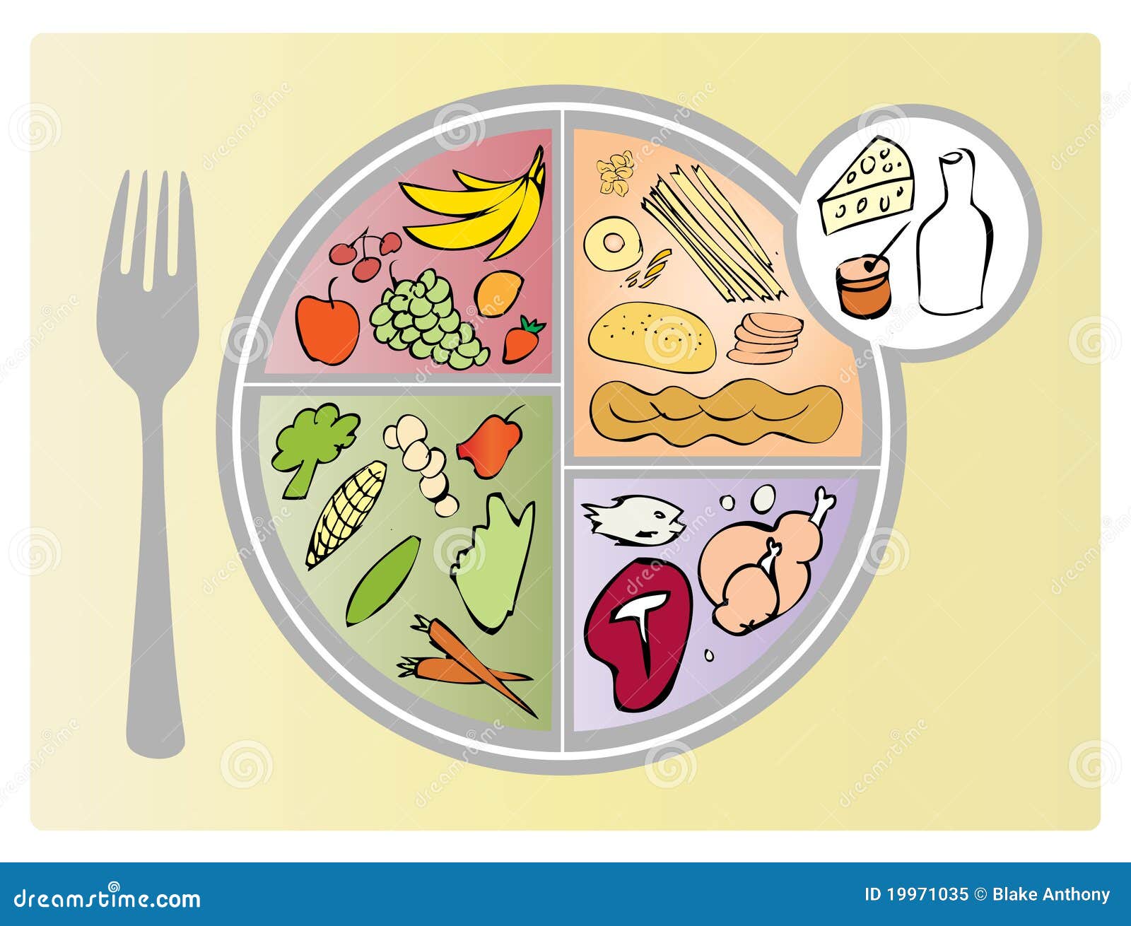 new food guide plate portions