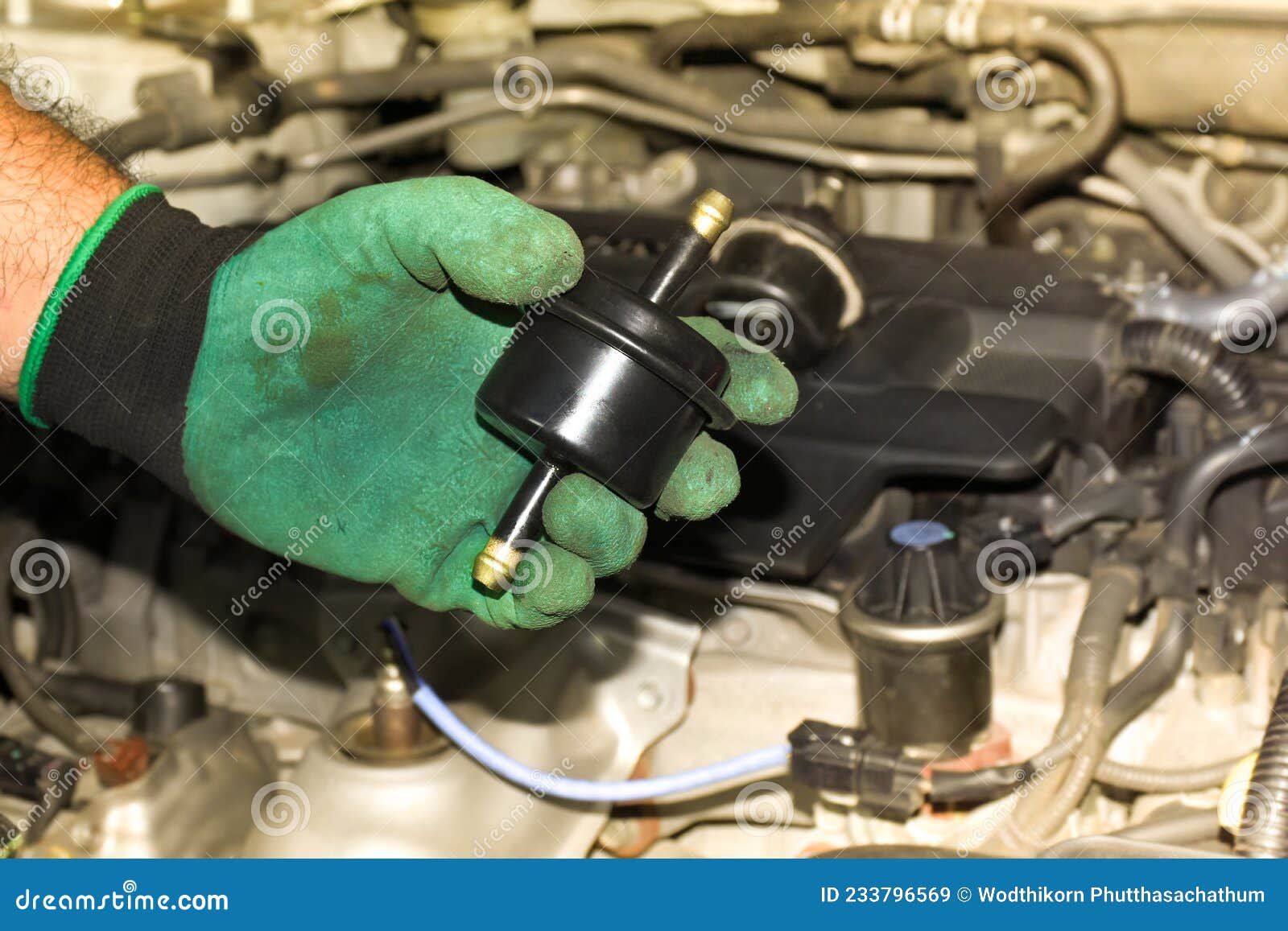 New Gear Oil Filter in the Hand Stock Image Image of metal, filter 233796569