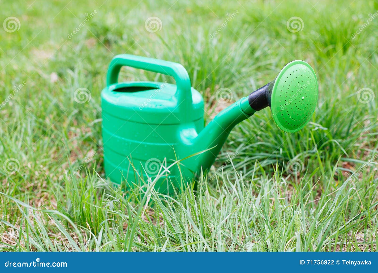 New Green Watering Can Standing on Grass Stock Photo Image of garden