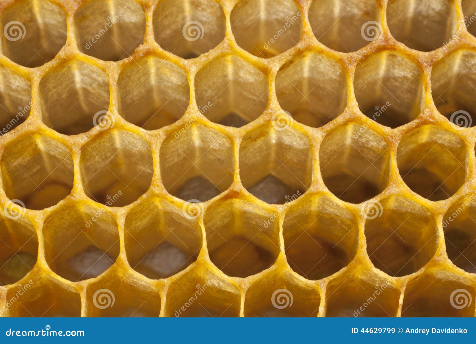New stock image. Image of size, beekeeping 44629799