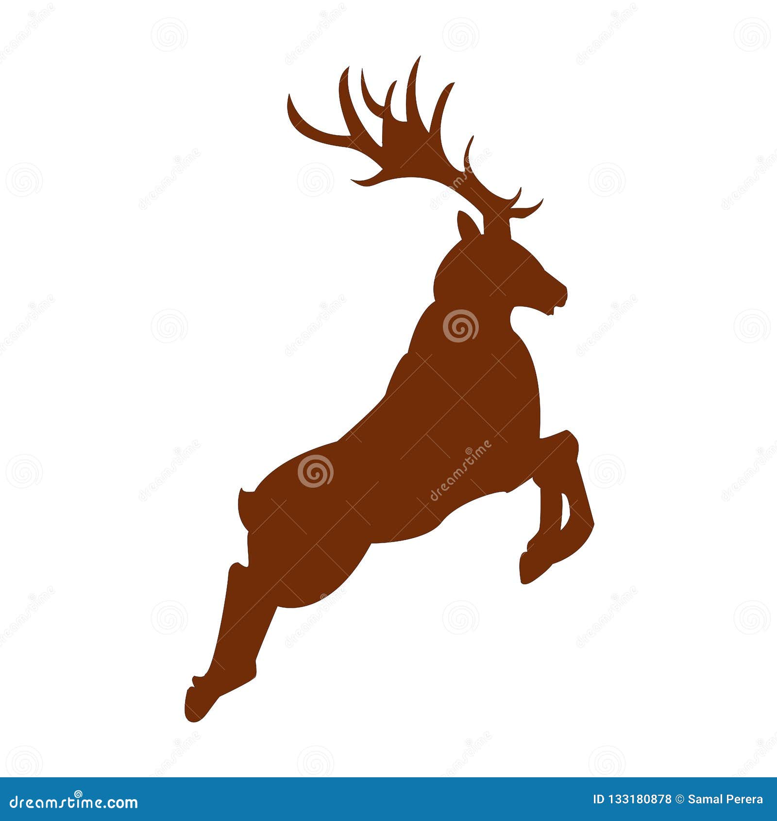 new infographic christmas deer on  white background