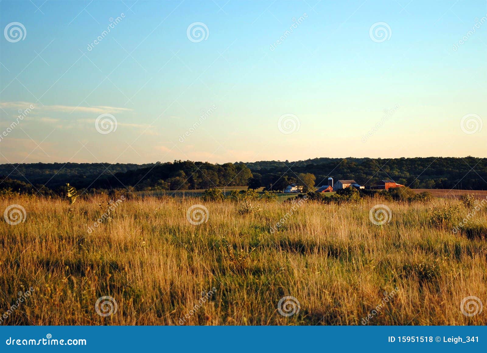 New Jersey Farm stock photo. Image of nature, farmer 15951518