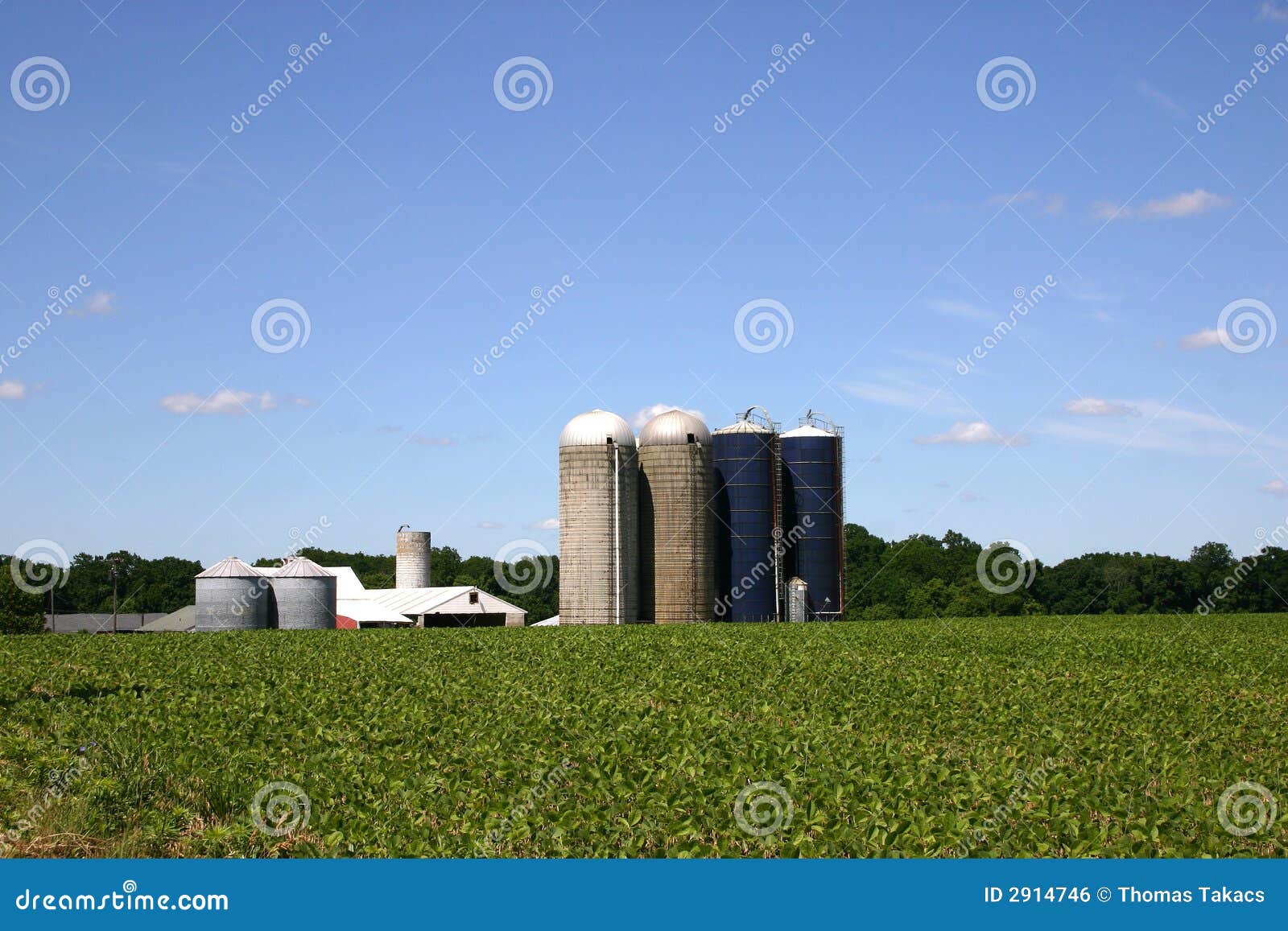New Jersey Farm Outbuildings Stock Photo Image of trees, green 2914746