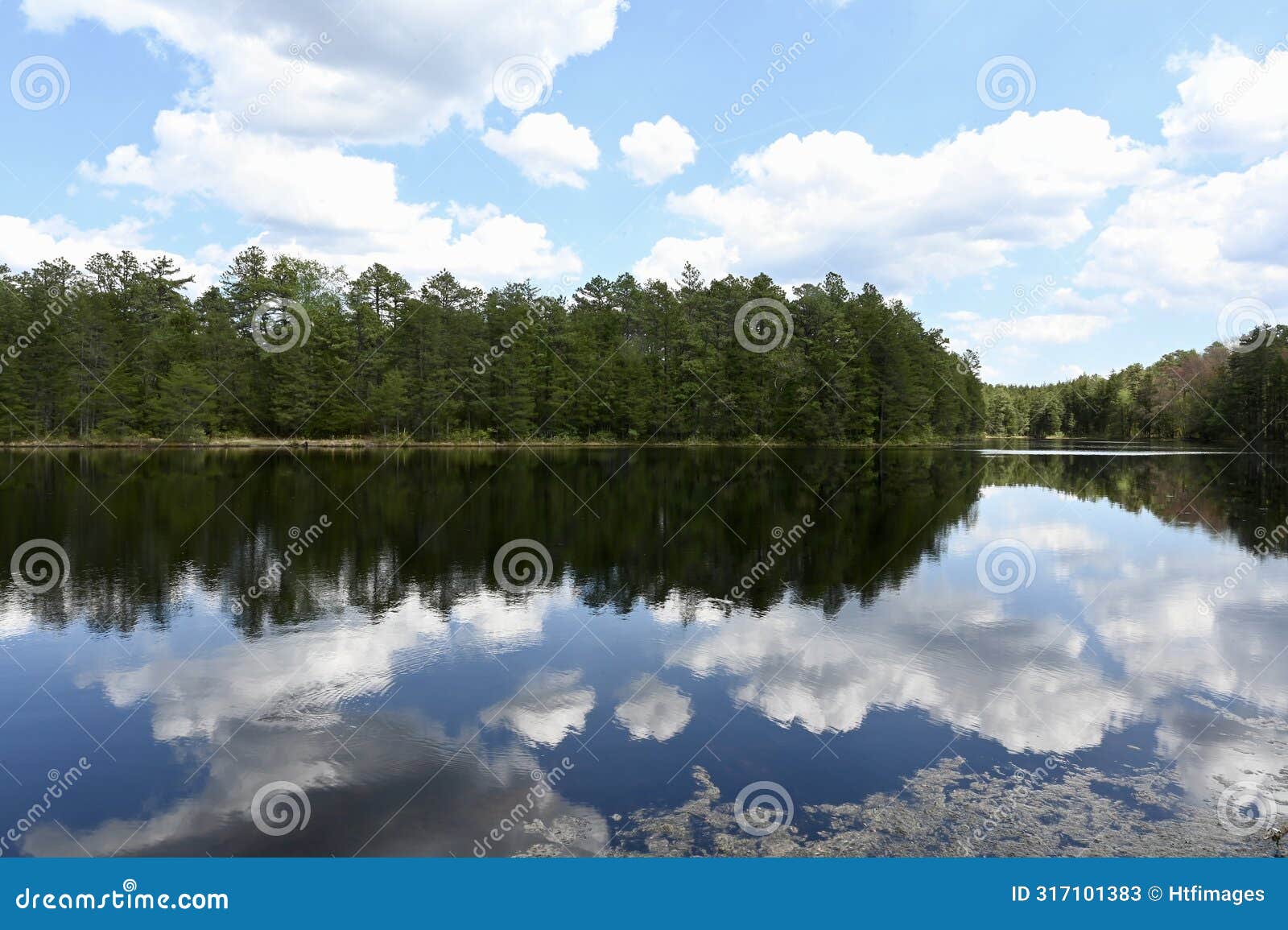 new jersey pine barrens