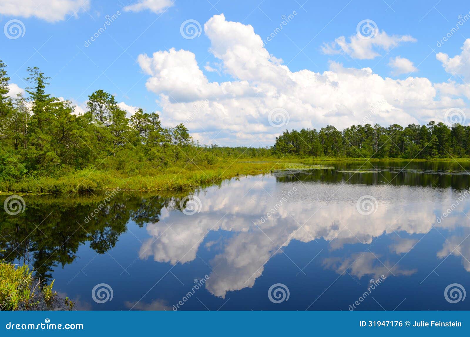 new jersey pine lands