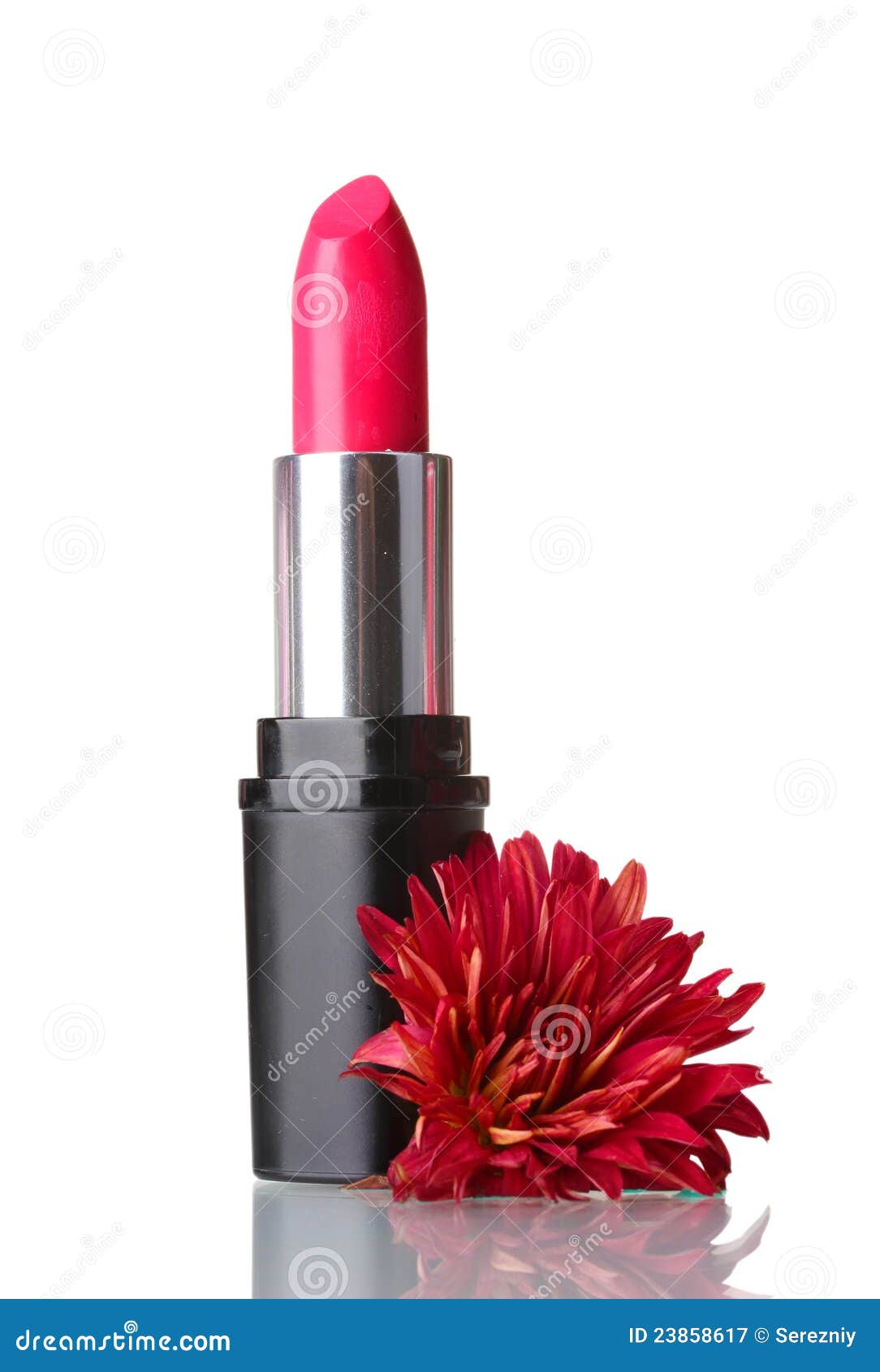 New lipstick and flower stock image. Image of beauty 23858617