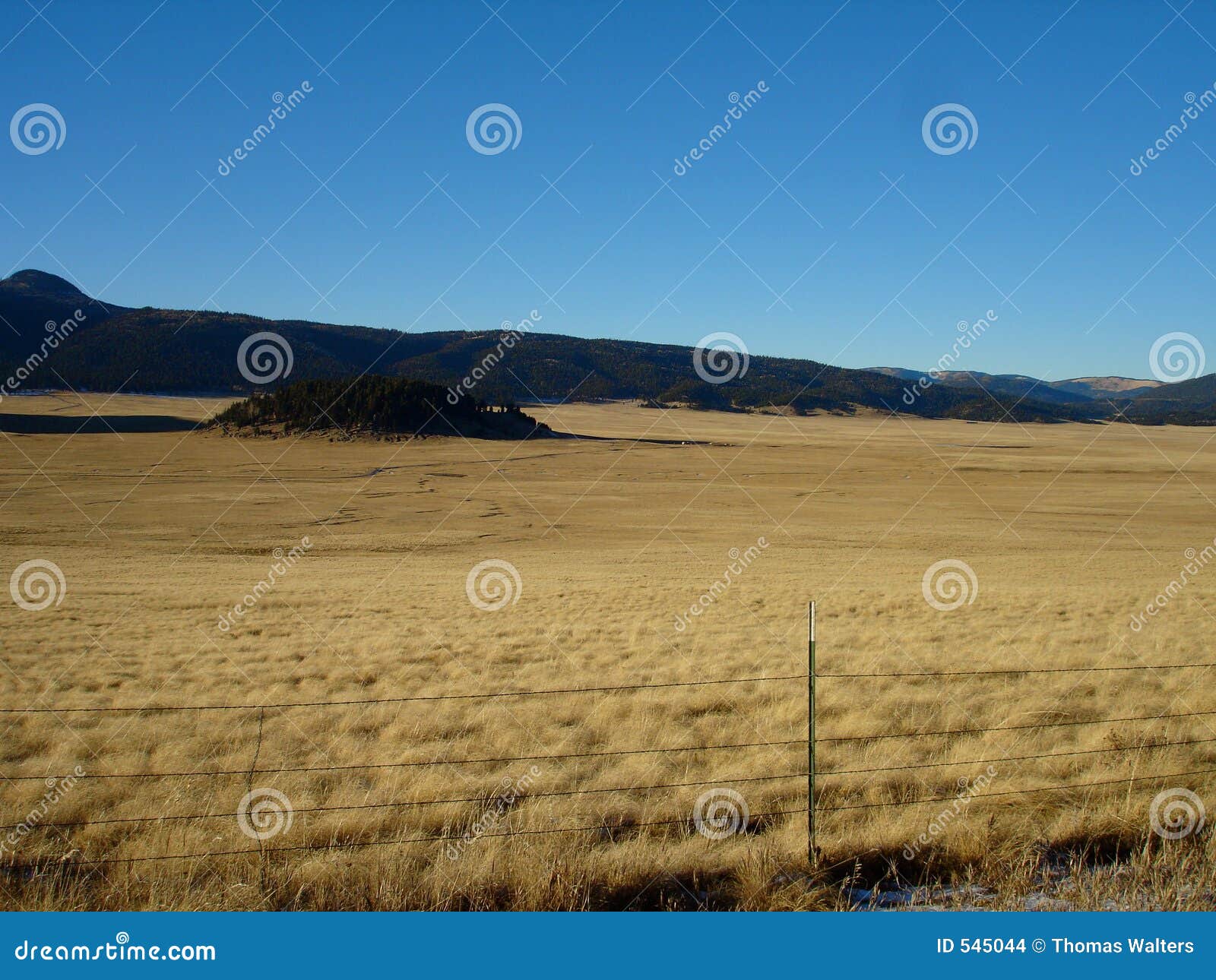 New Mexico Plains stock photo. Image of volcanic, valles 545044