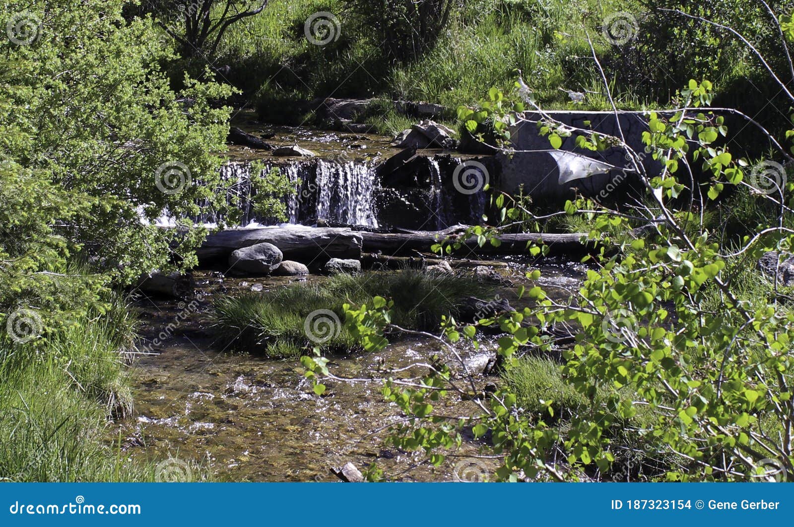 New Mexico Spring Water stock photo. Image of spring 187323154