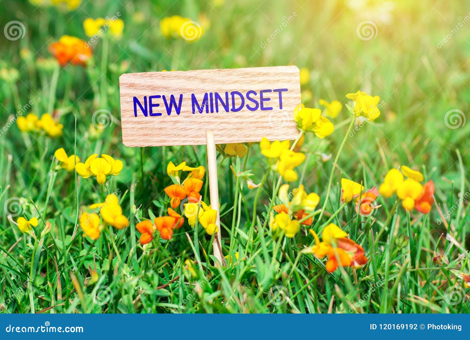 new mindset signboard