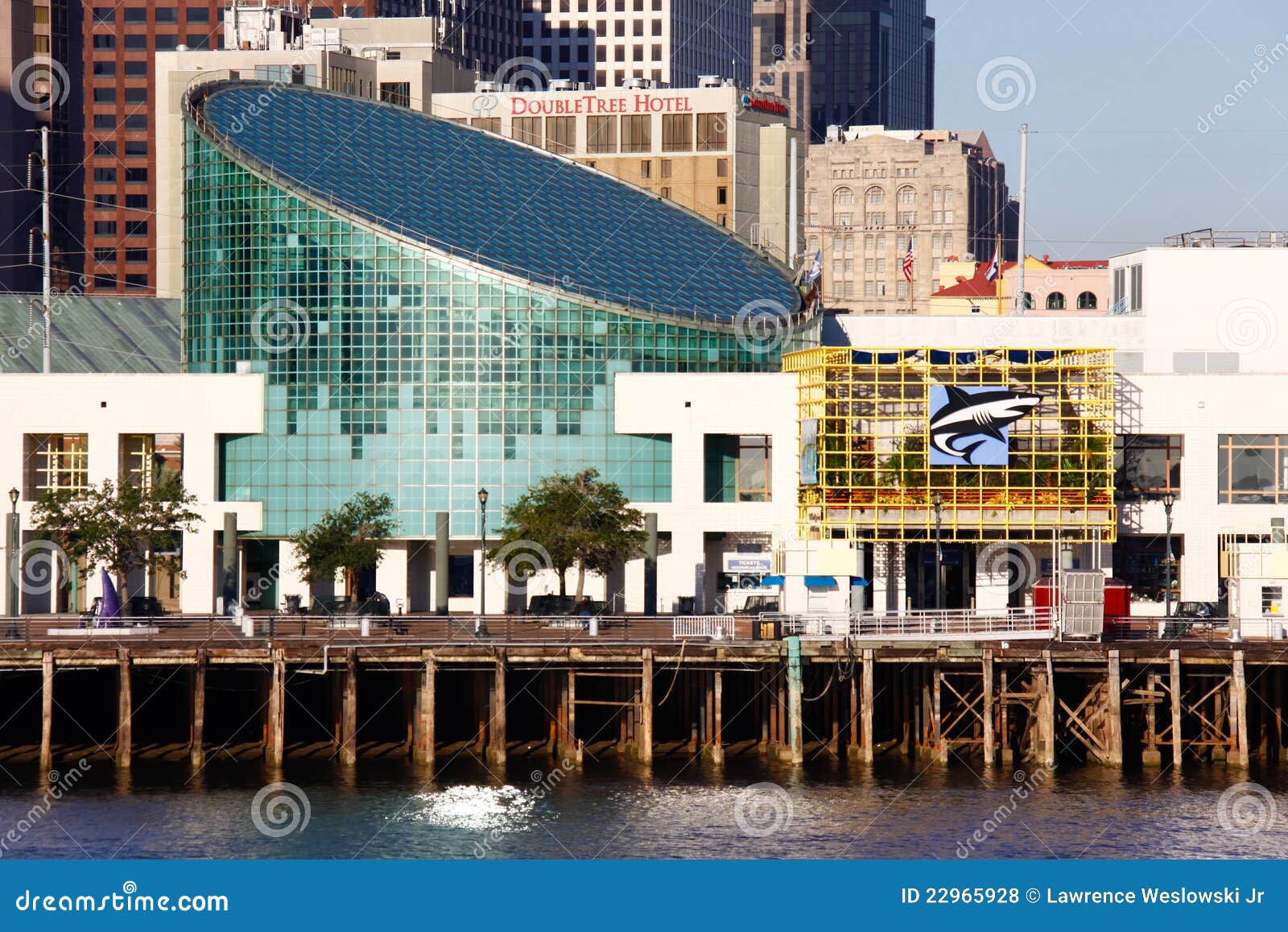 New Orleans Aquarium of the Americas Editorial Stock Photo Image of