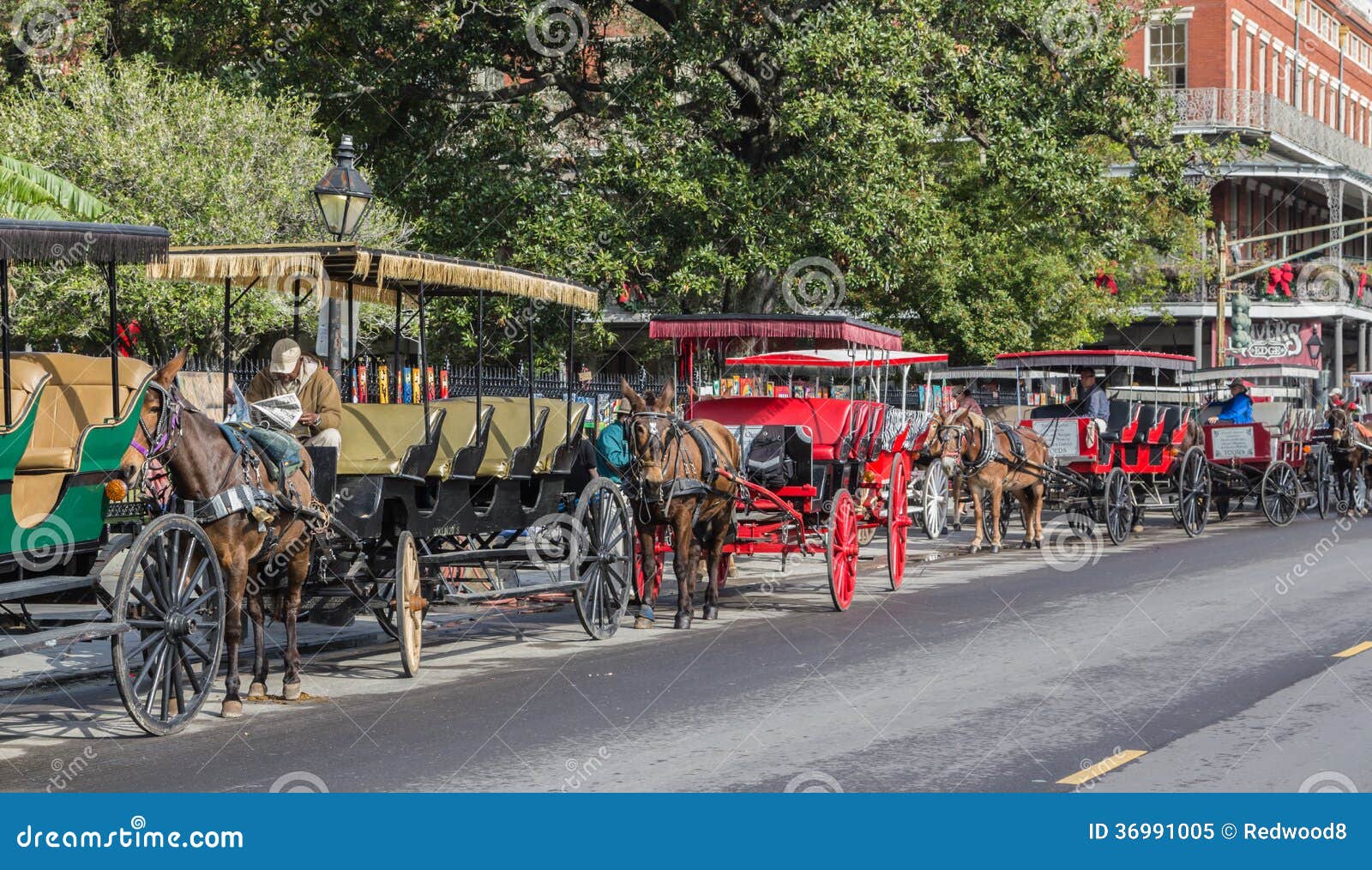 carriage rides in highland park texas carriage rides in highland park texas