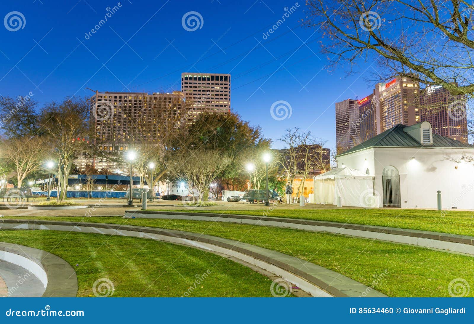 NEW ORLEANS FEBRUARY 9, 2016 Street Lights on Mardi Gras Nigh