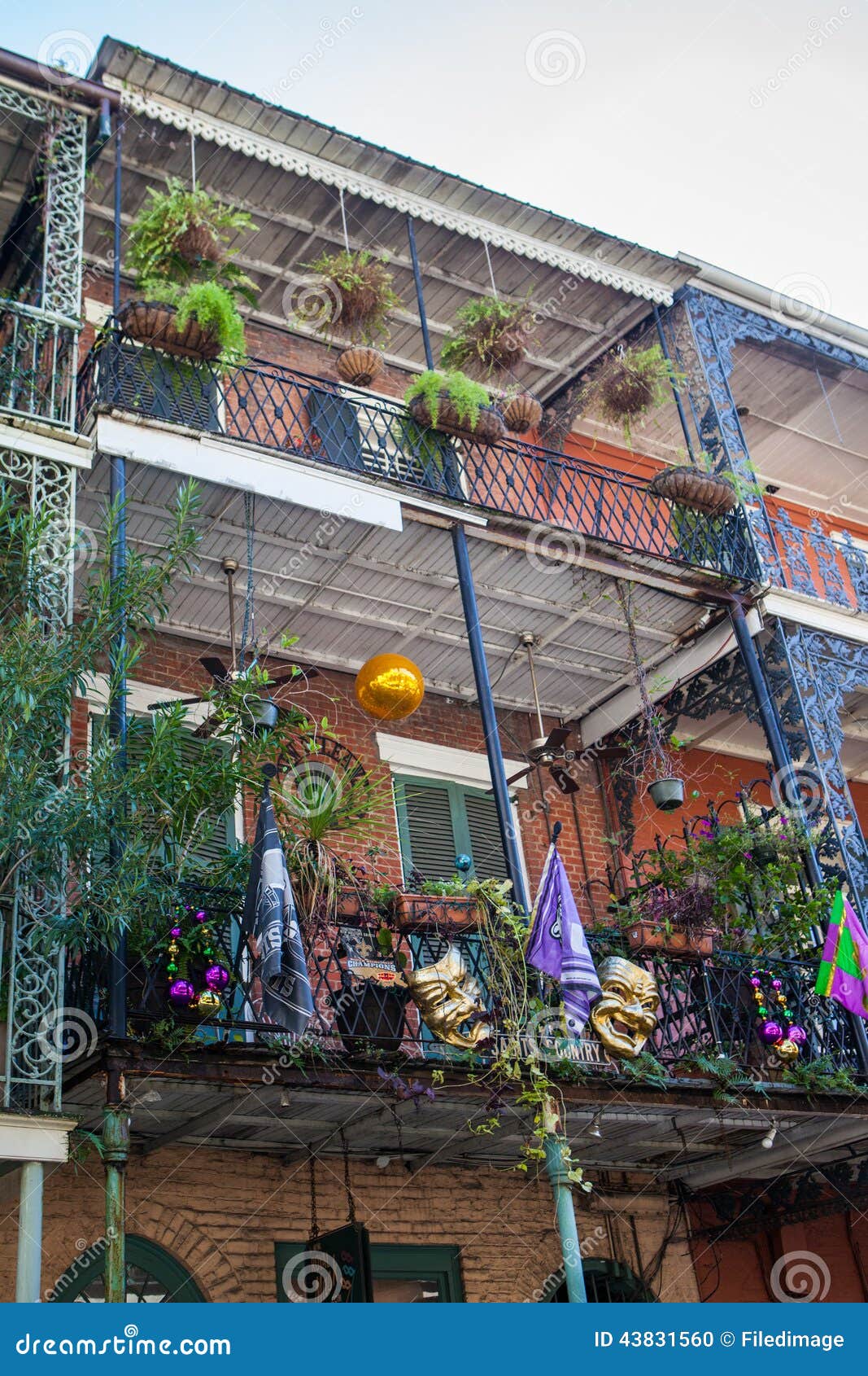 New Orleans Flowers editorial image. Image of flowers - 43831560