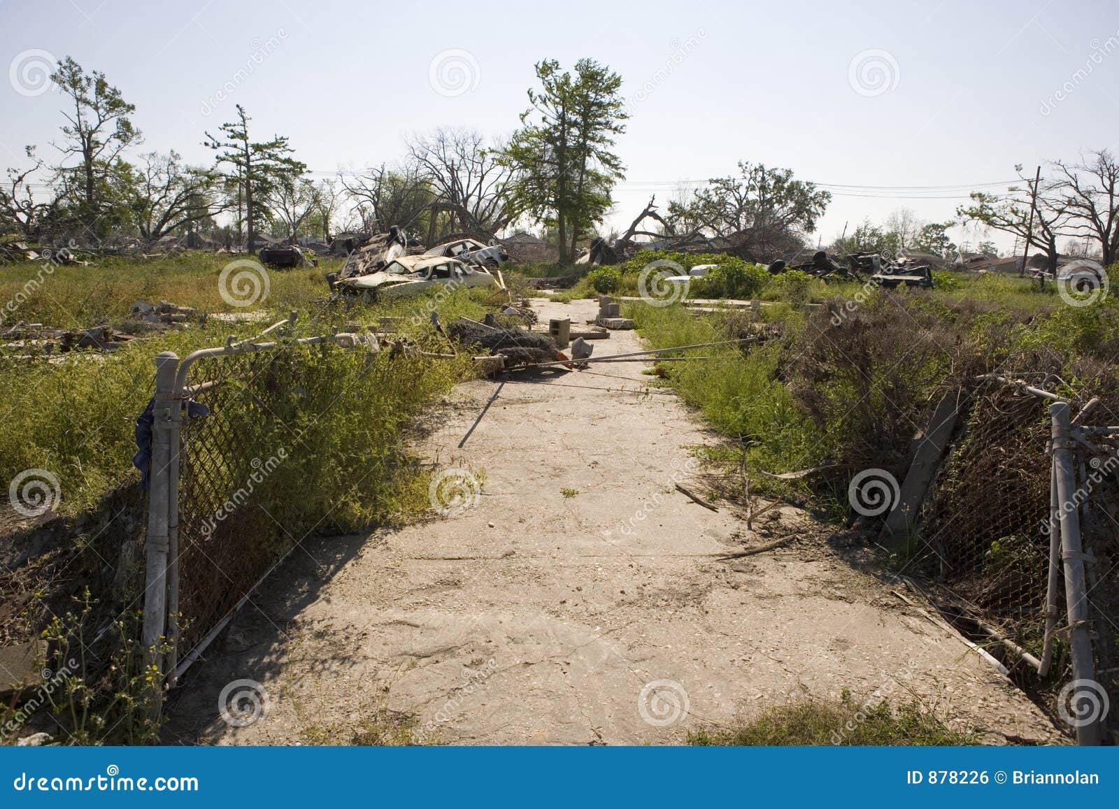 new orleans after katrina, ninth ward driveway