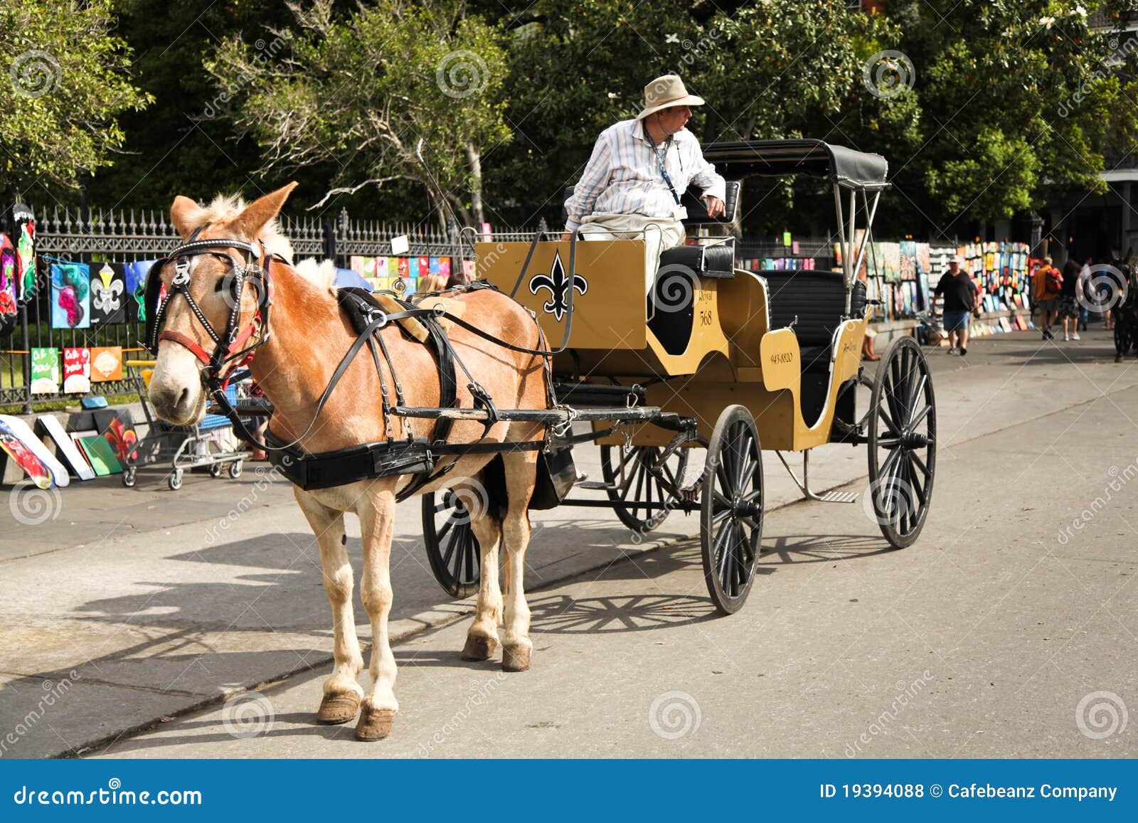 New Orleans - mula y carro foto de archivo editorial. Imagen de detalle