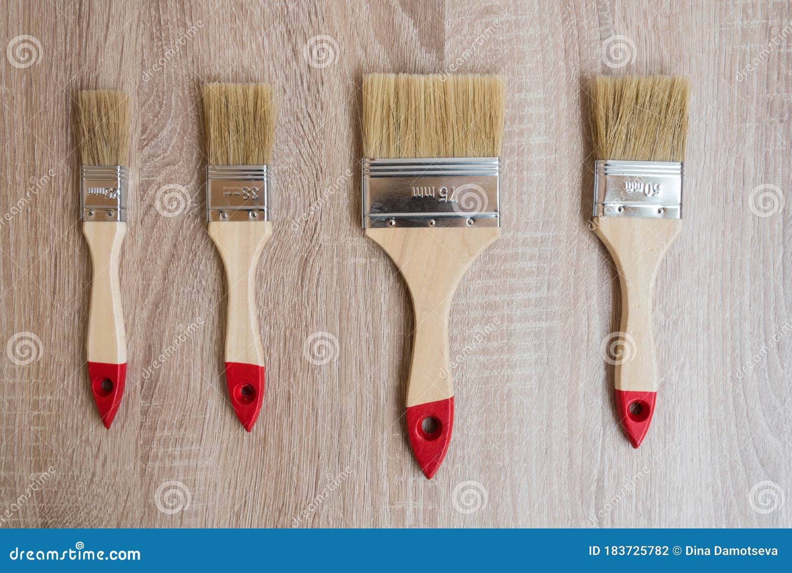 New Paint Brushes of Different Sizes. the Concept of Choice and