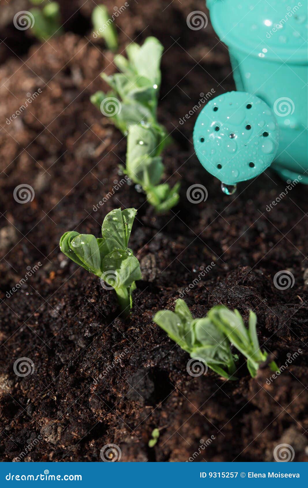 400 Fake Soil Stock Photos - Free & Royalty-Free Stock Photos from  Dreamstime