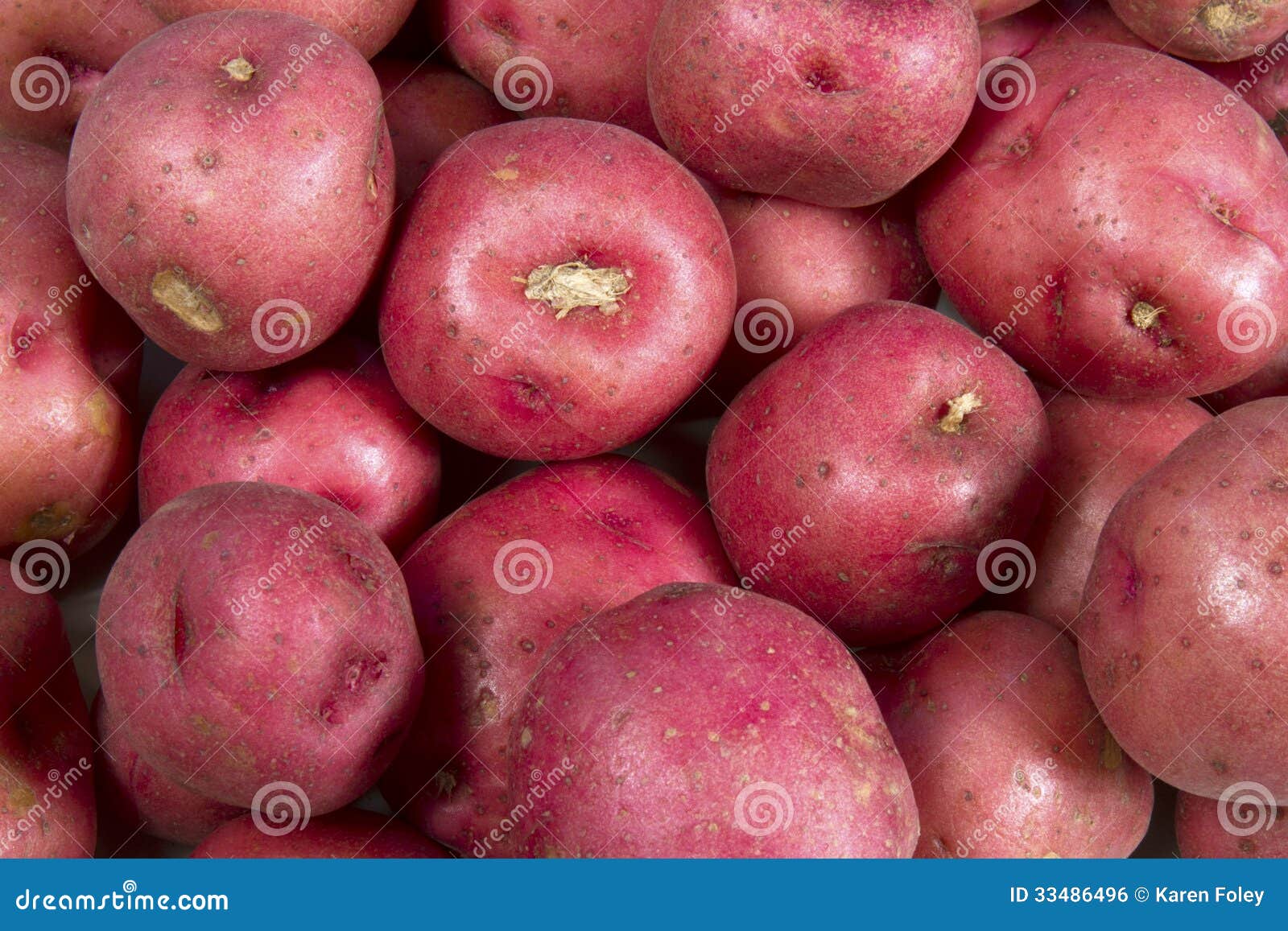 New Red Potatoes stock photo. Image of fresh, potatoe 33486496