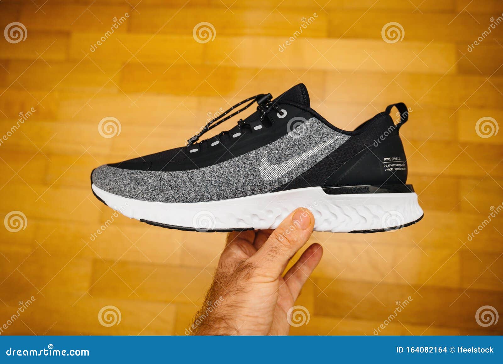 New Sport Waterproof and Windproof Running Shoe by Nike Editorial Stock  Image - Image of hardwood, isolated: 164082164