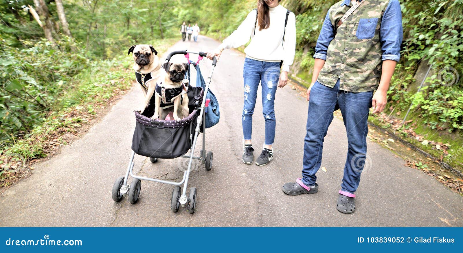 pet carriages