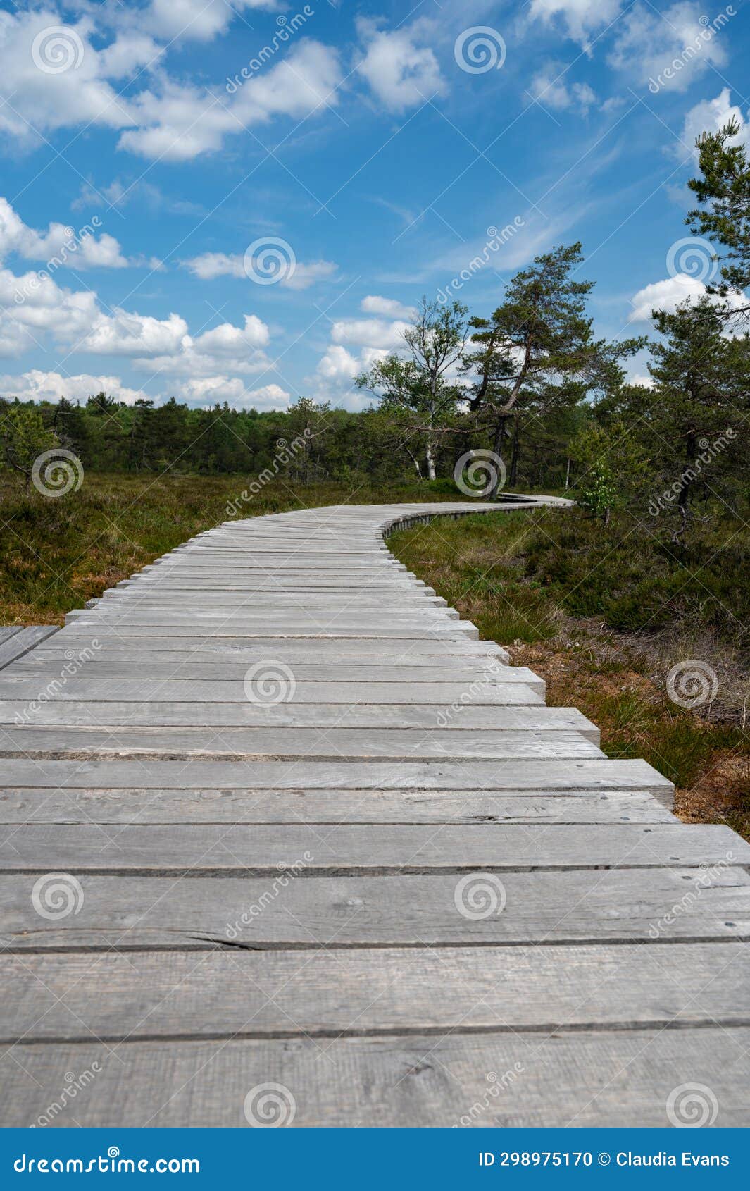 new wooden path in a moor landscape