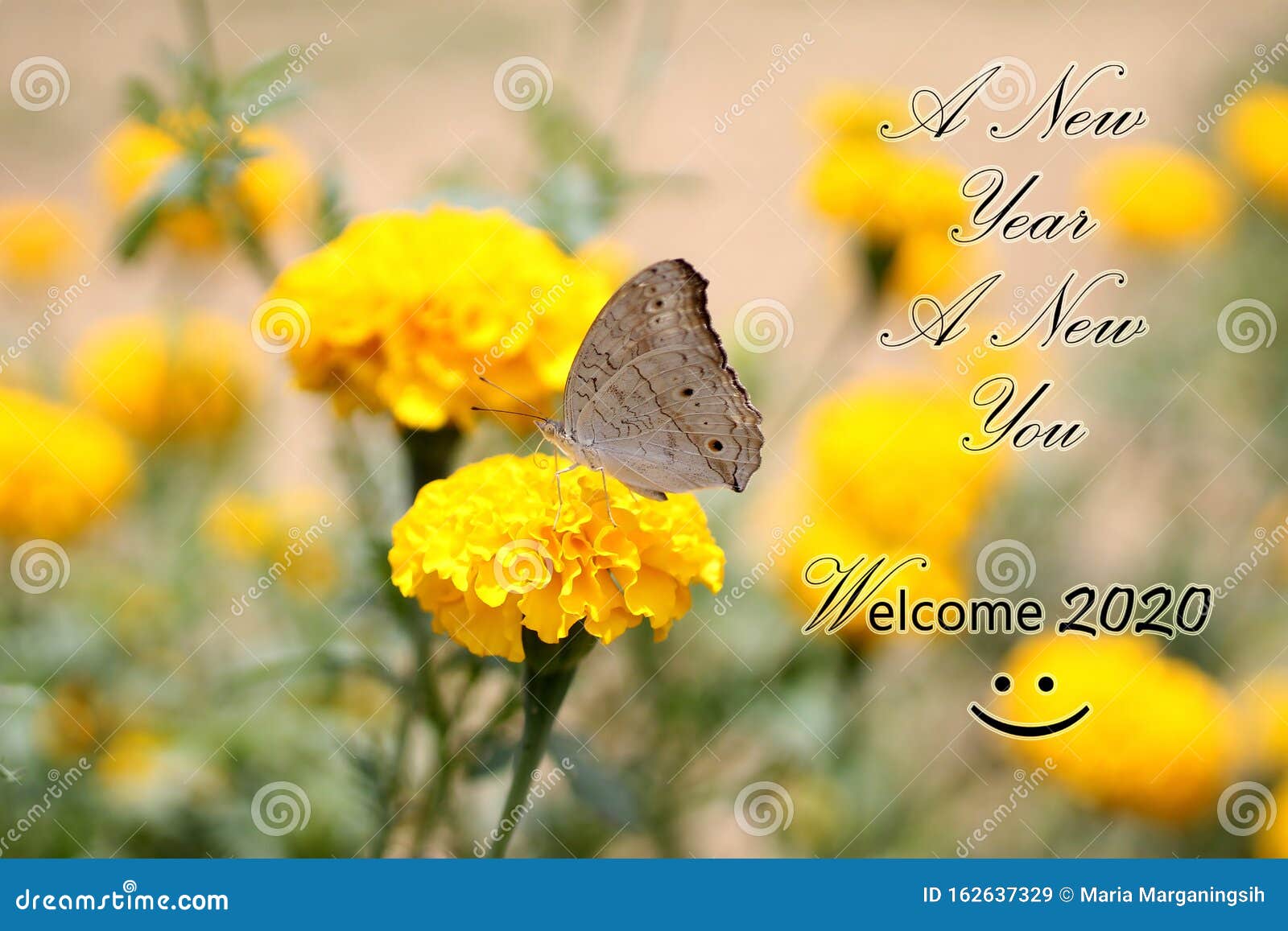 New Year Inspirational Motivational Quote With Nature Background. A New