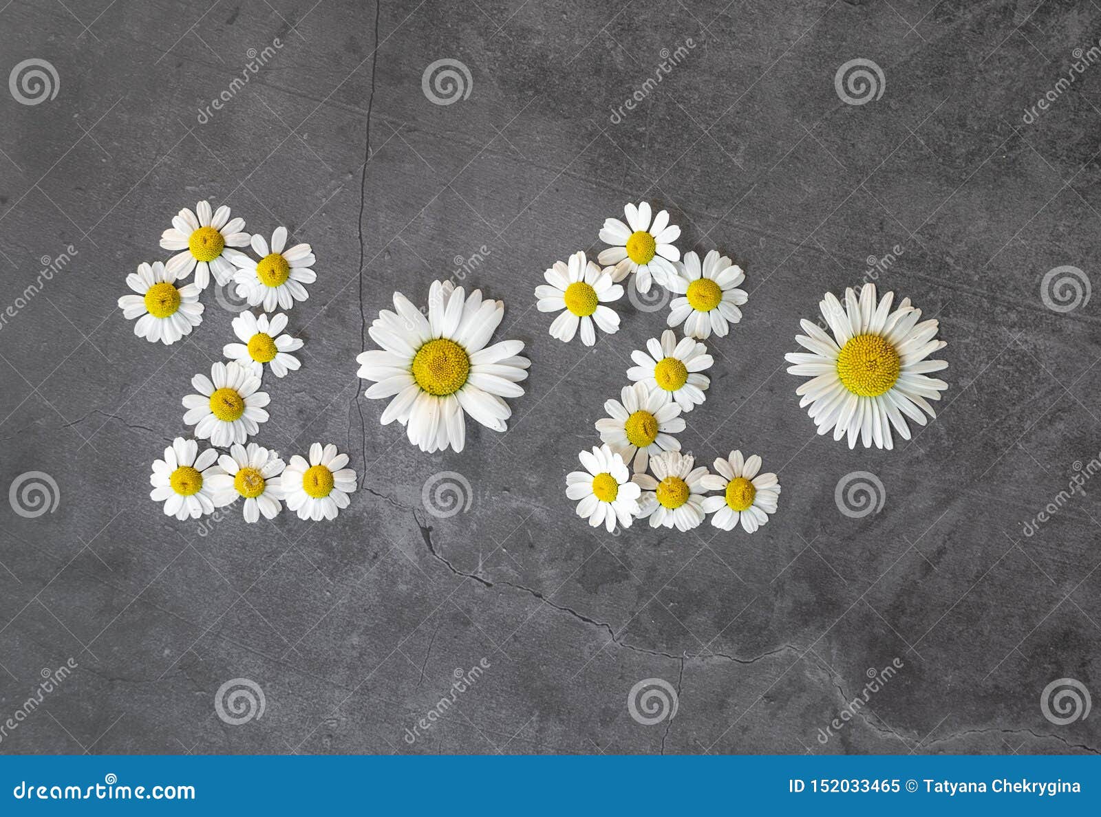 New Year 2020 Made of Daisy Flowers on the Concrete Background ...