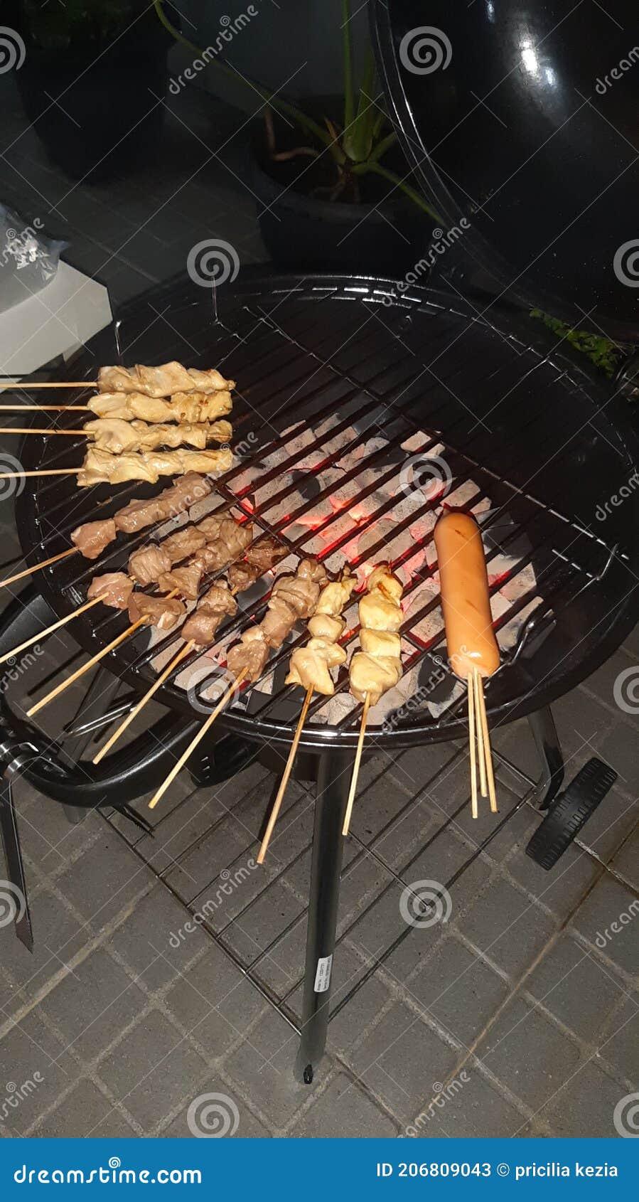New Year& X27;s Eve Bbq Stock Image Image of chicken, skewered 206809043