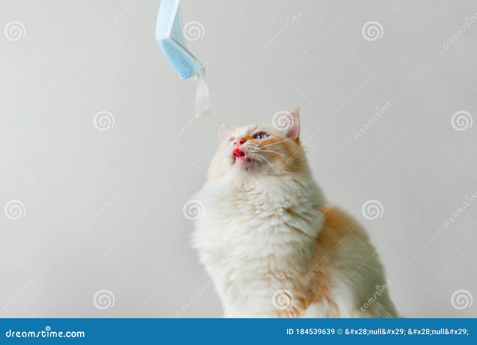 Download 18 919 Yellow Face Mask Photos Free Royalty Free Stock Photos From Dreamstime PSD Mockup Templates